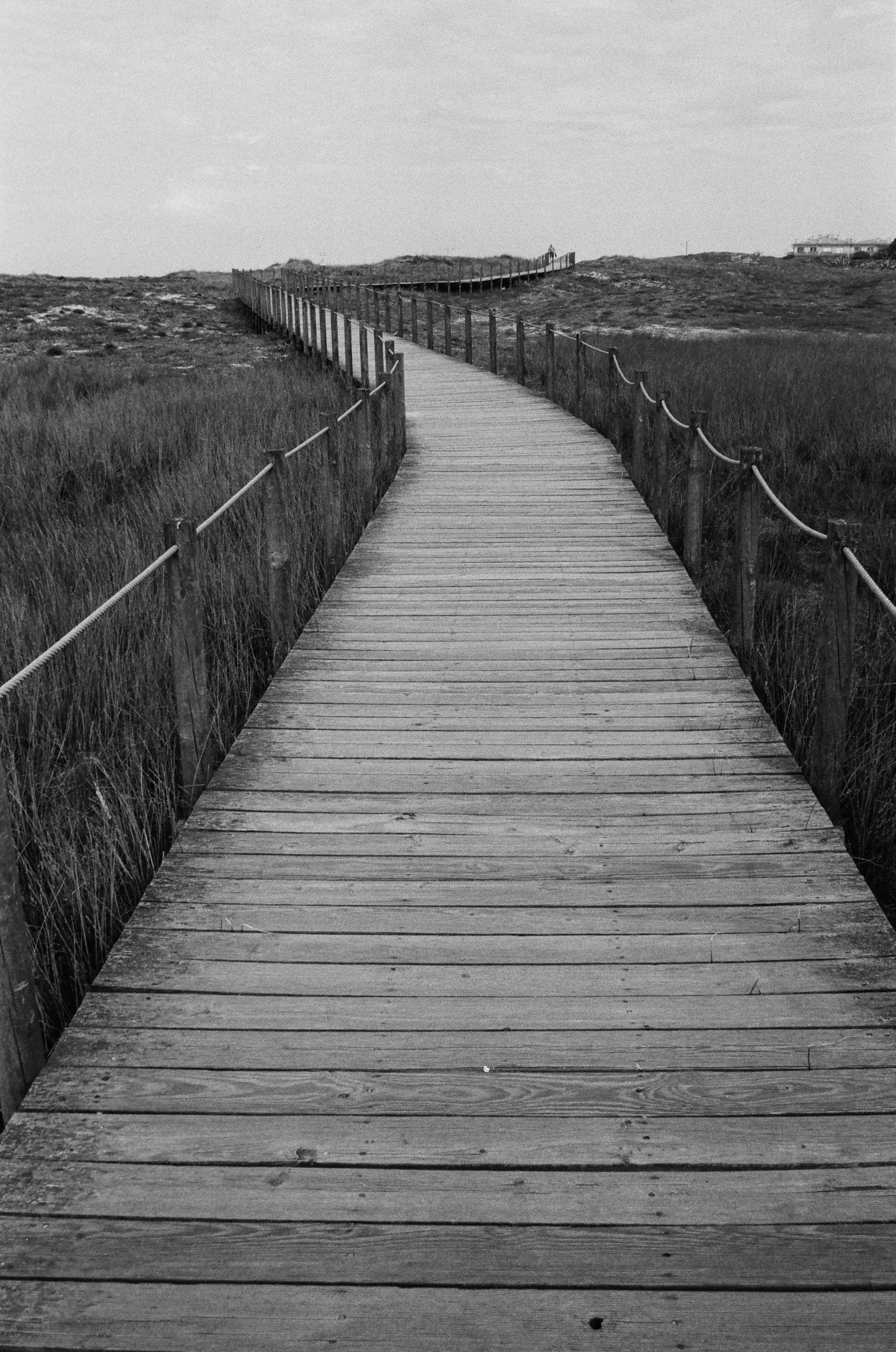 Wo der Camino dem Ozean folgt