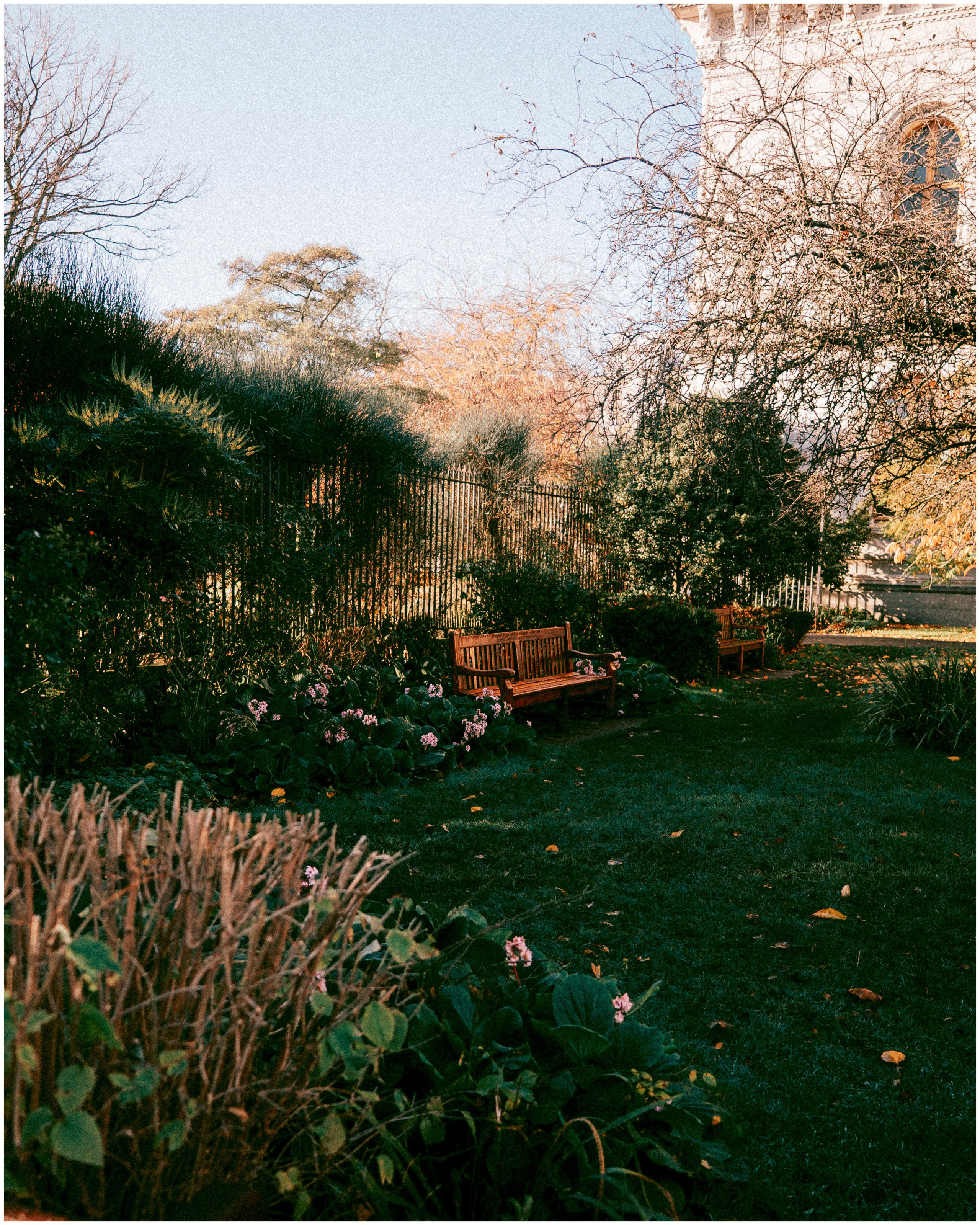 IRELAND. Inna Mendelson — Photographer