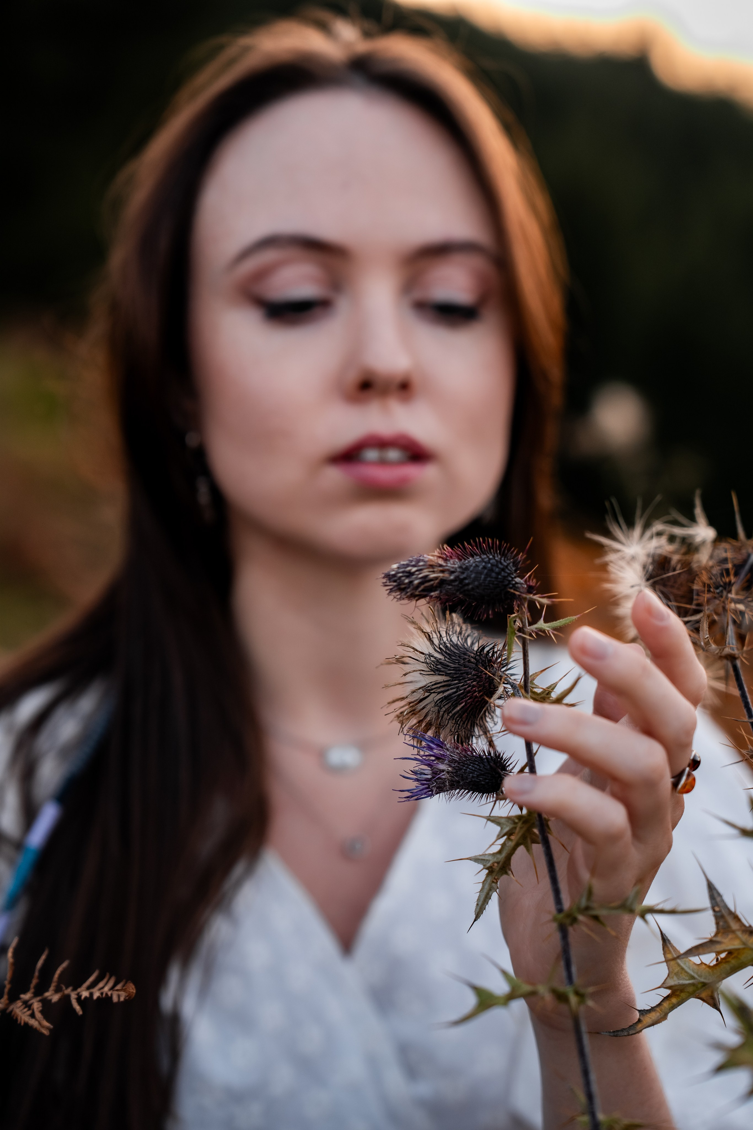 Golden Autumn. Ekaterina Verbitskaya. Photography