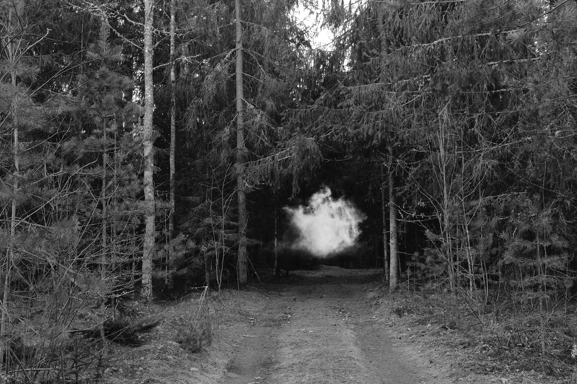 Babcia (ongoing). Jana Gertz