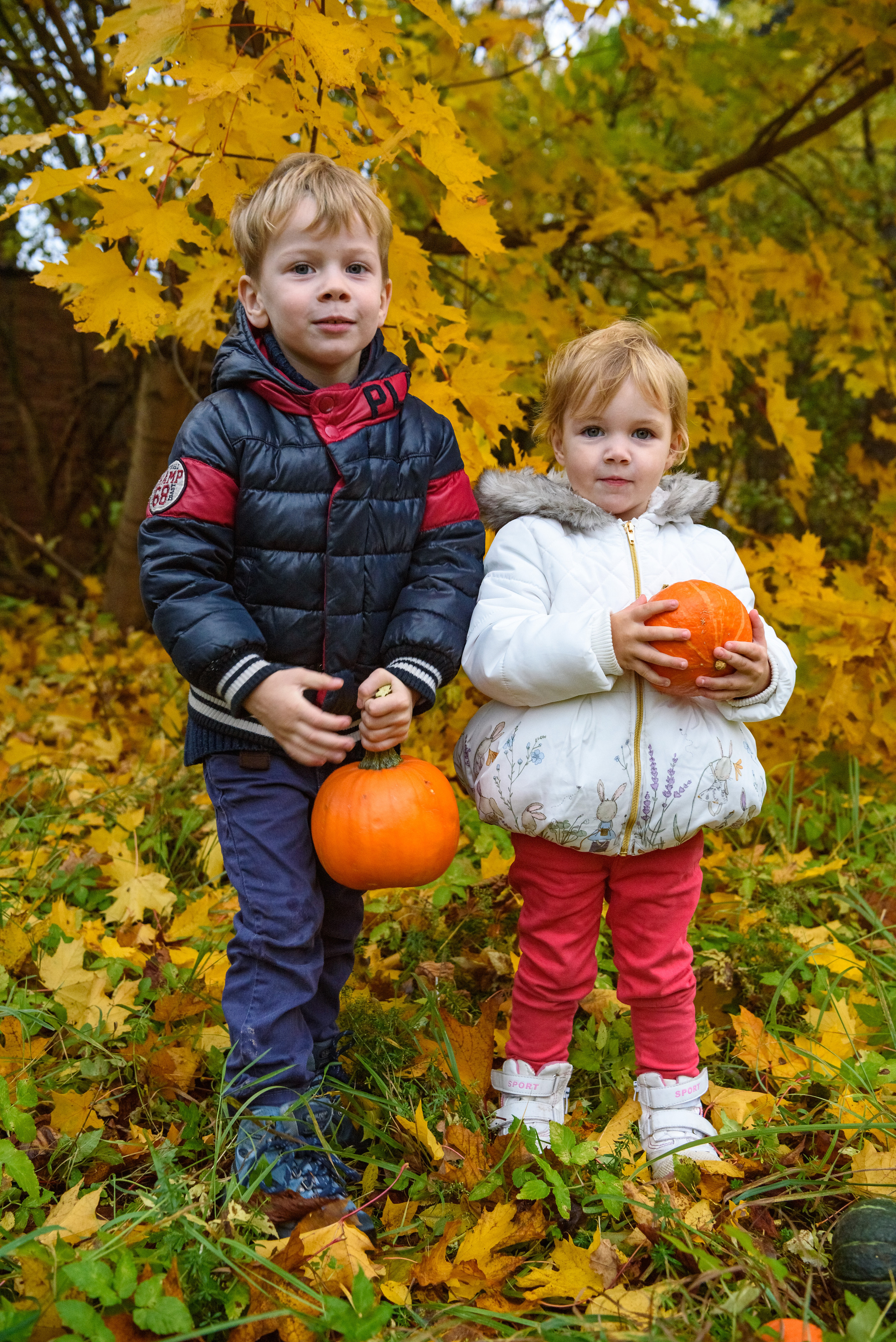 Barnfotografering. Family and portrait photographer Natalja Biteniece