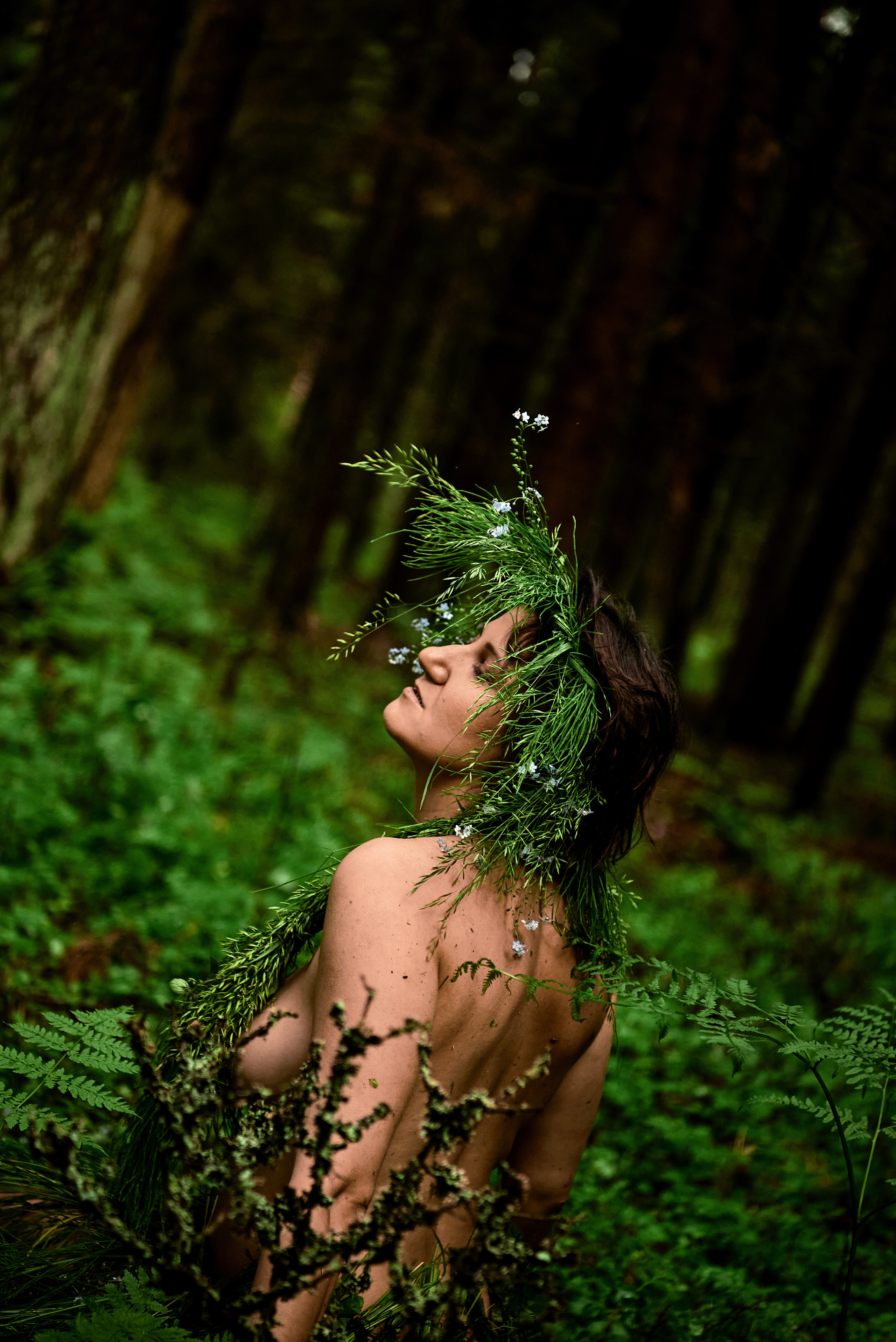 Forest nimfa. Family and portrait photographer Natalja Biteniece