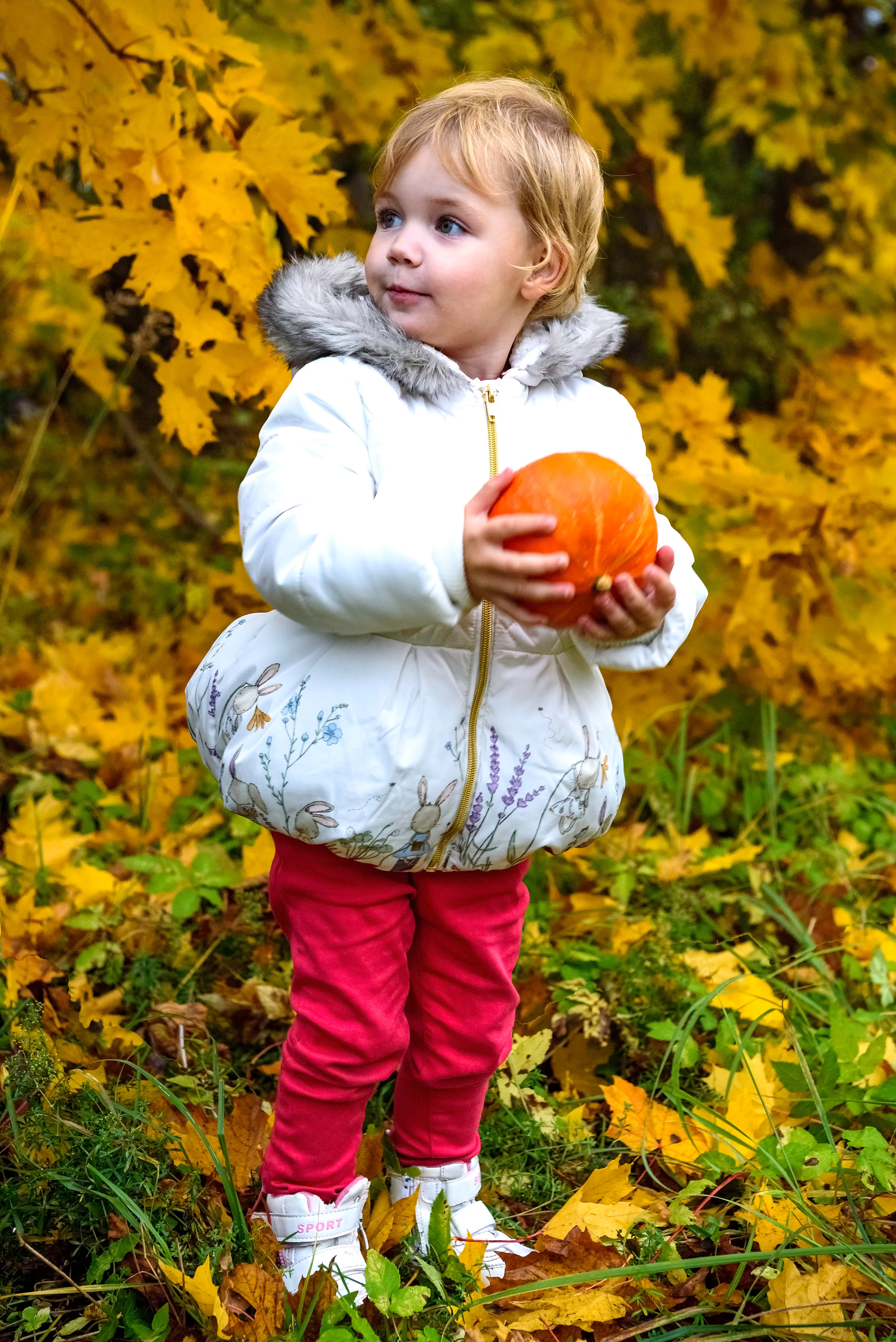 Barnfotografering. Family and portrait photographer Natalja Biteniece
