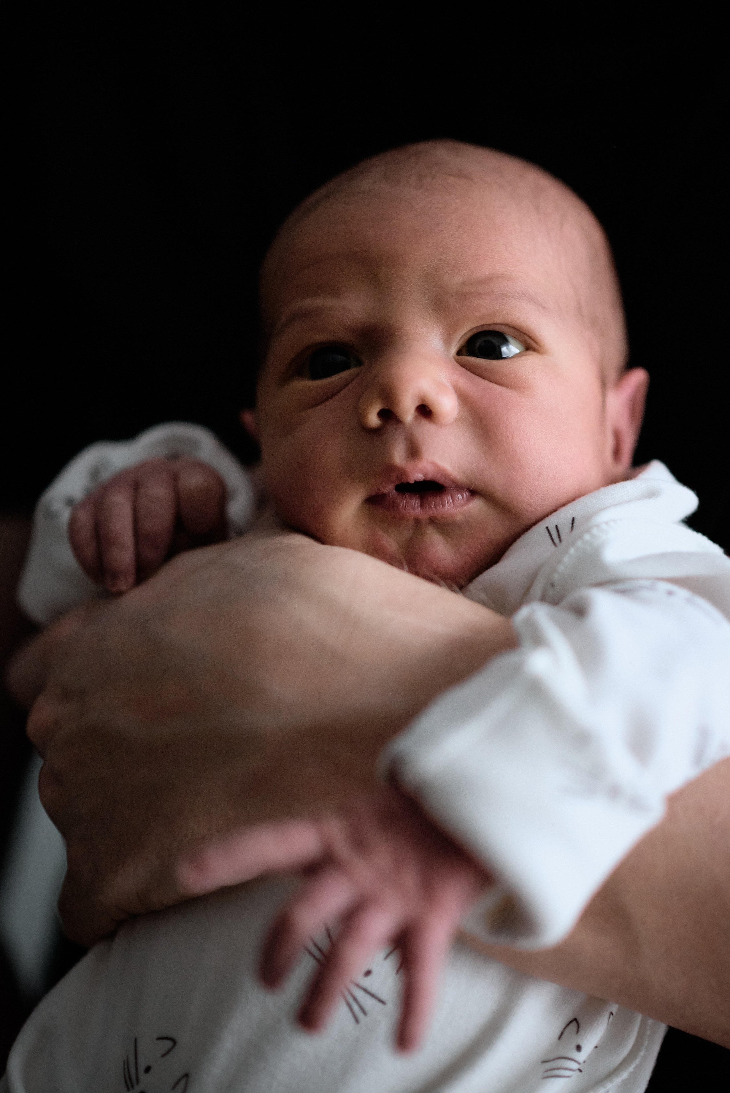 Nyföddfotografering. Family and portrait photographer Natalja Biteniece
