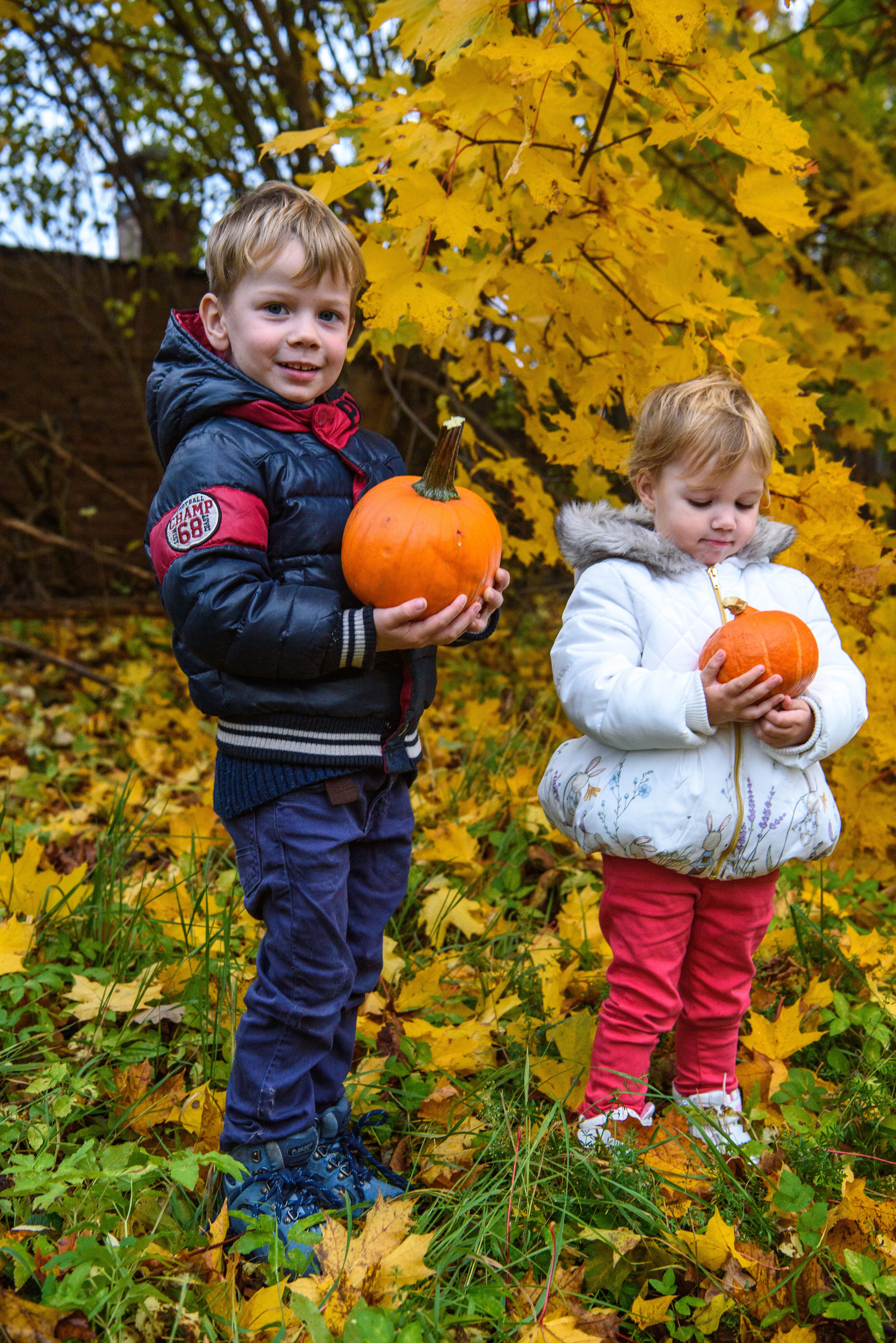 Barnfotografering. Family and portrait photographer Natalja Biteniece