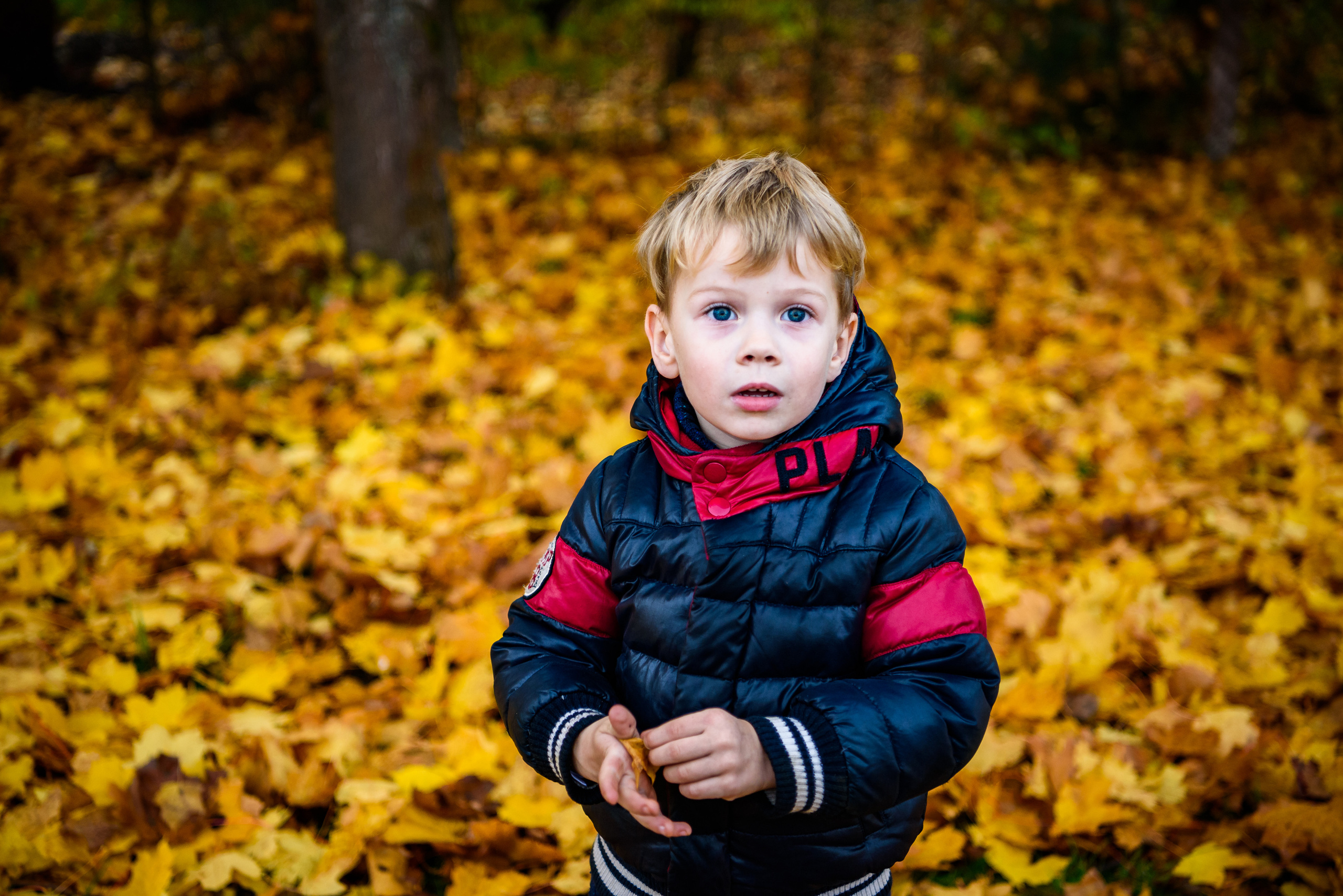 Barnfotografering. Family and portrait photographer Natalja Biteniece