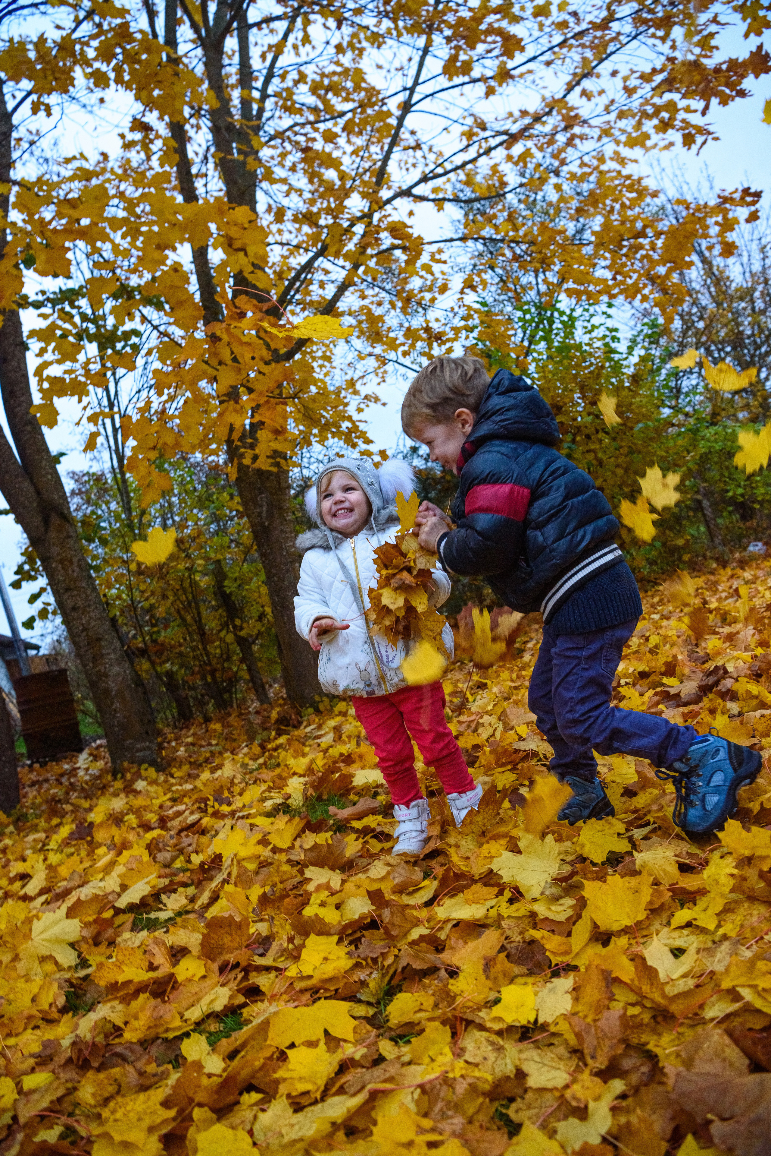 Barnfotografering. Family and portrait photographer Natalja Biteniece