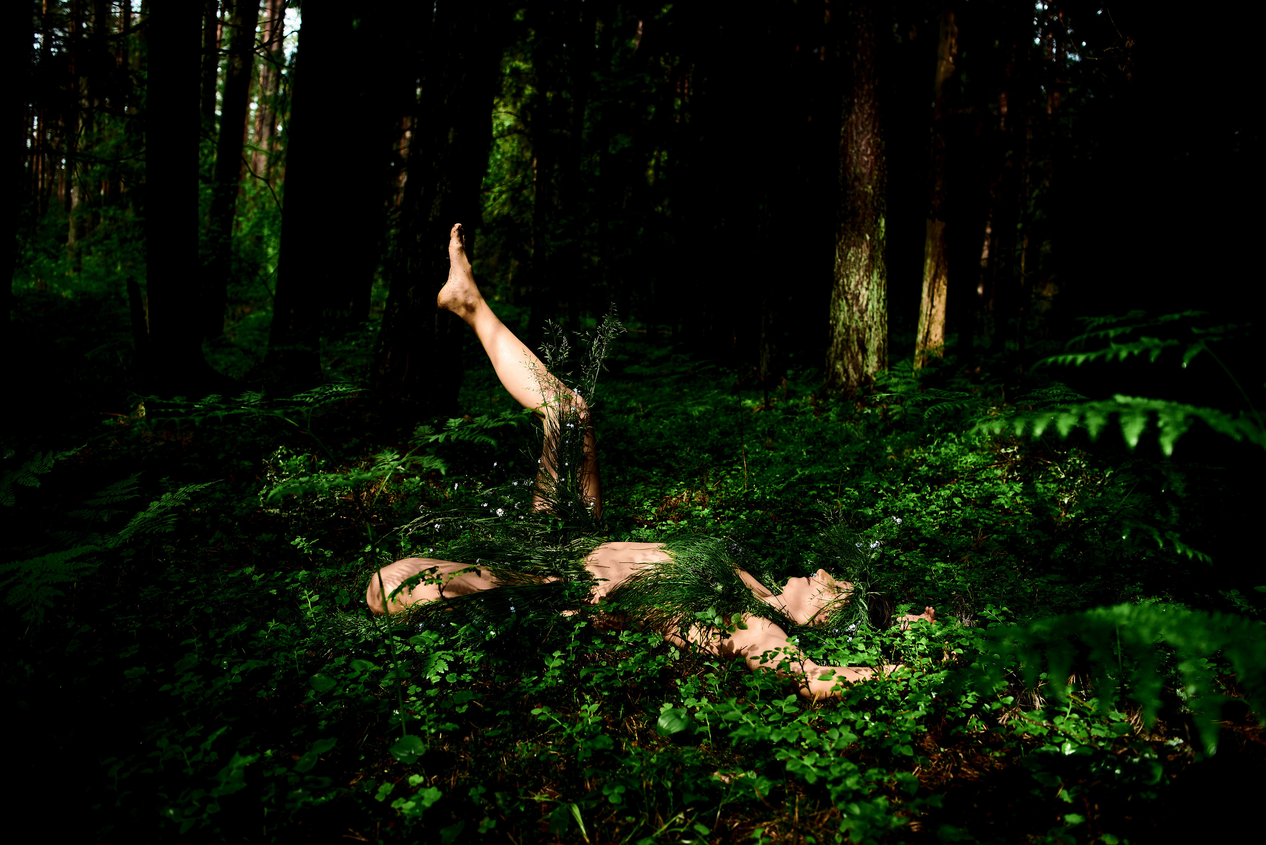 Forest nimfa. Family and portrait photographer Natalja Biteniece
