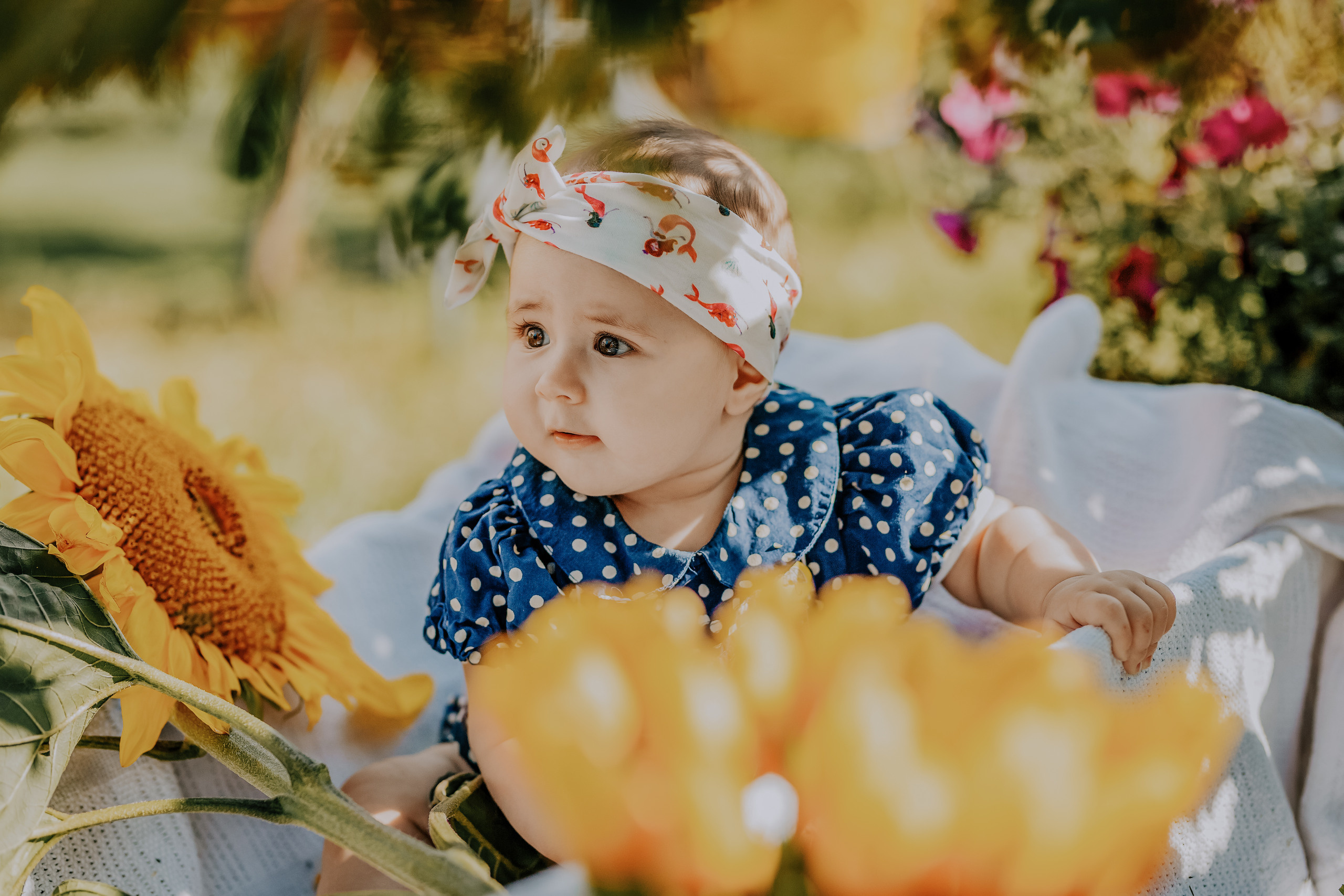 Jeva. FOTOGRĀFS| LATVIJA |DAUGAVPILS|