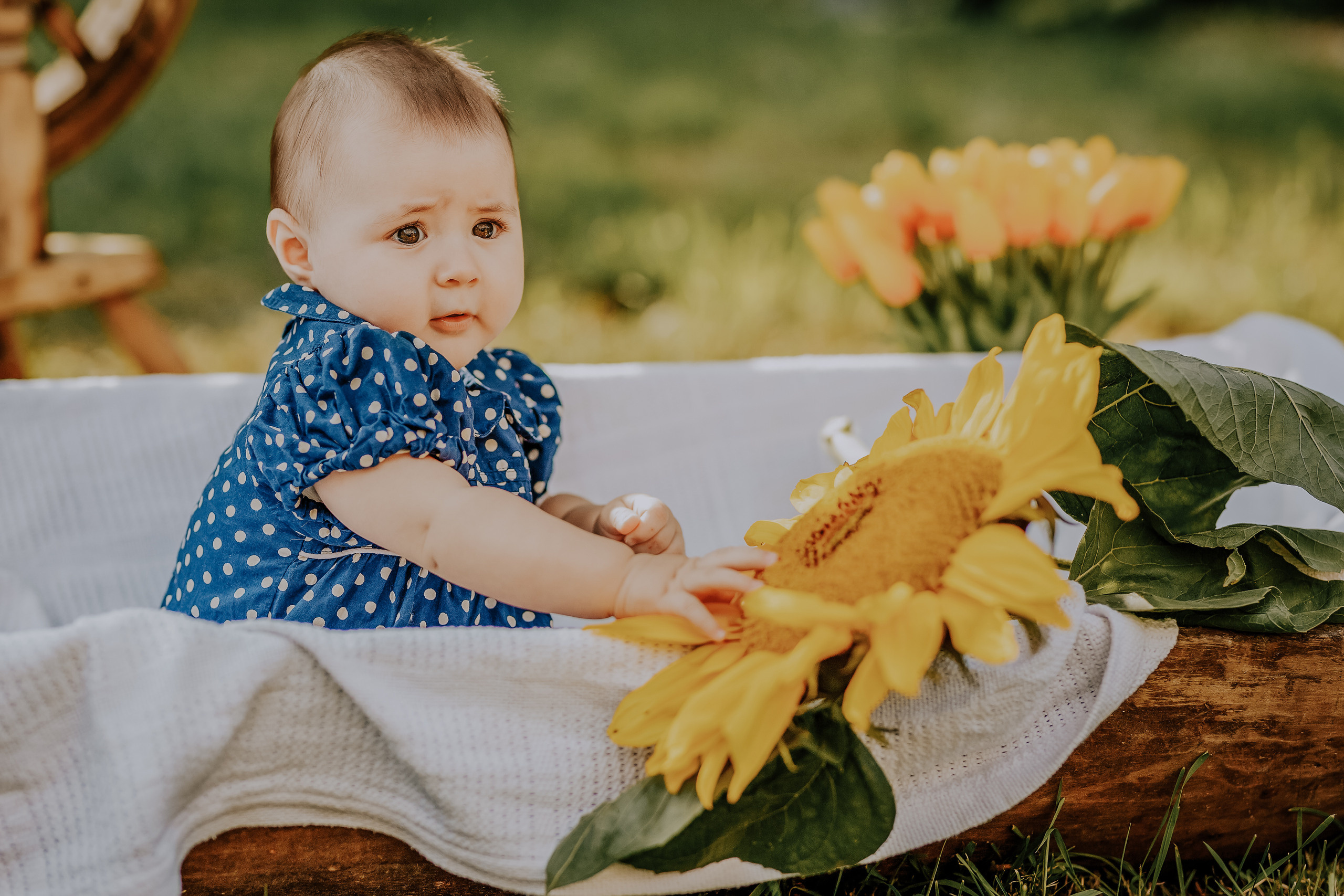 Jeva. FOTOGRĀFS| LATVIJA |DAUGAVPILS|