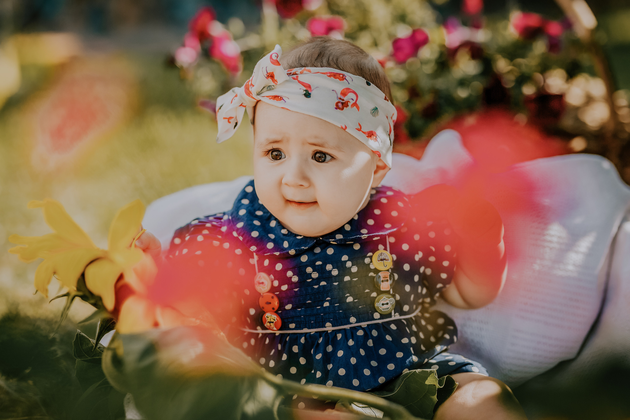 Jeva. FOTOGRĀFS| LATVIJA |DAUGAVPILS|