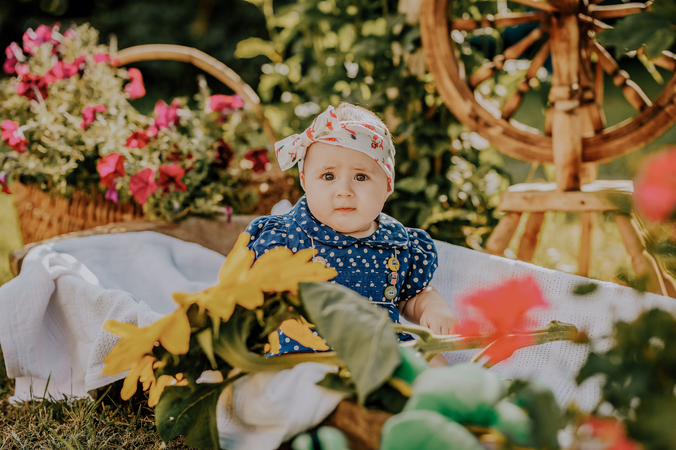 Jeva. FOTOGRĀFS| LATVIJA |DAUGAVPILS|