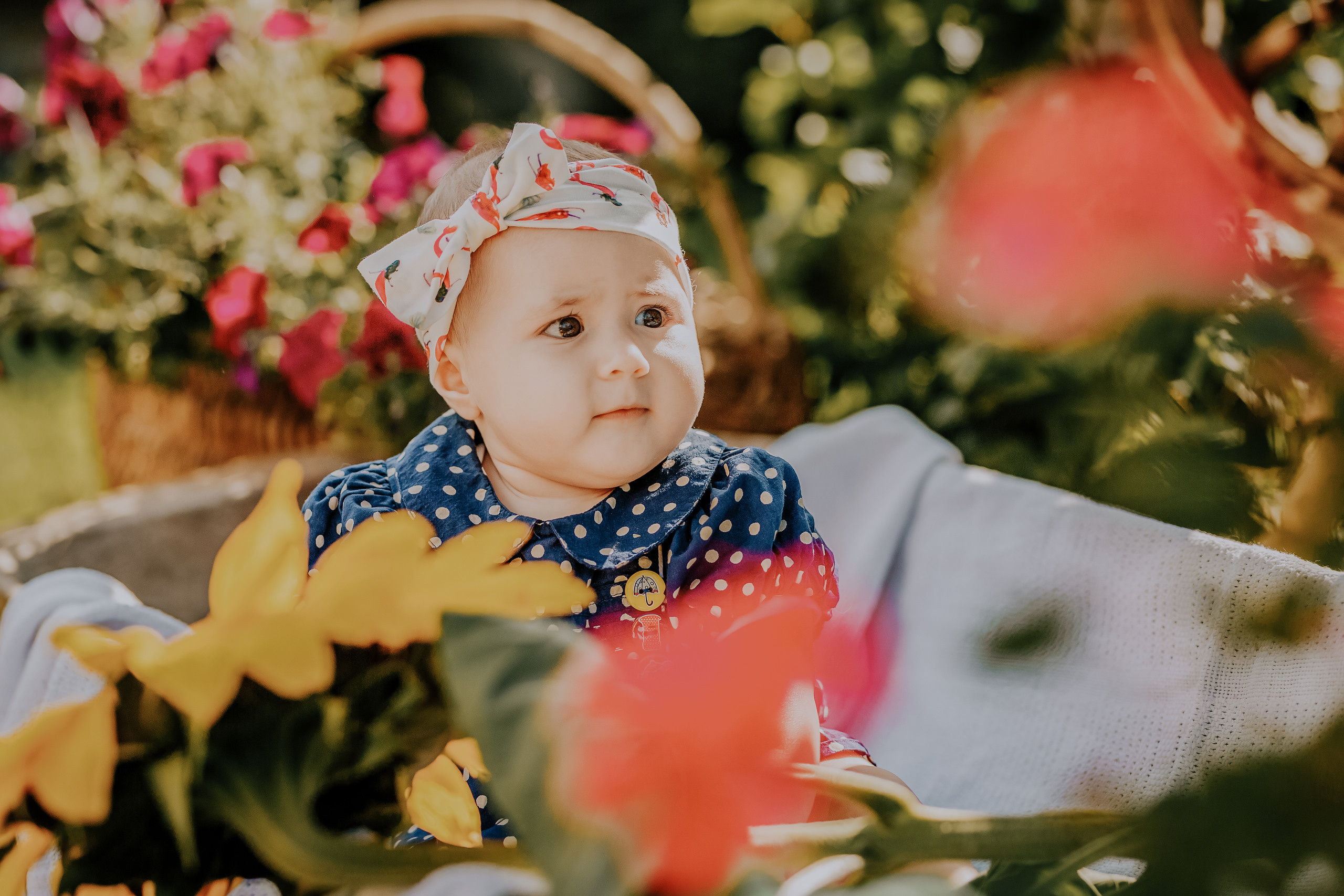 Jeva. FOTOGRĀFS| LATVIJA |DAUGAVPILS|