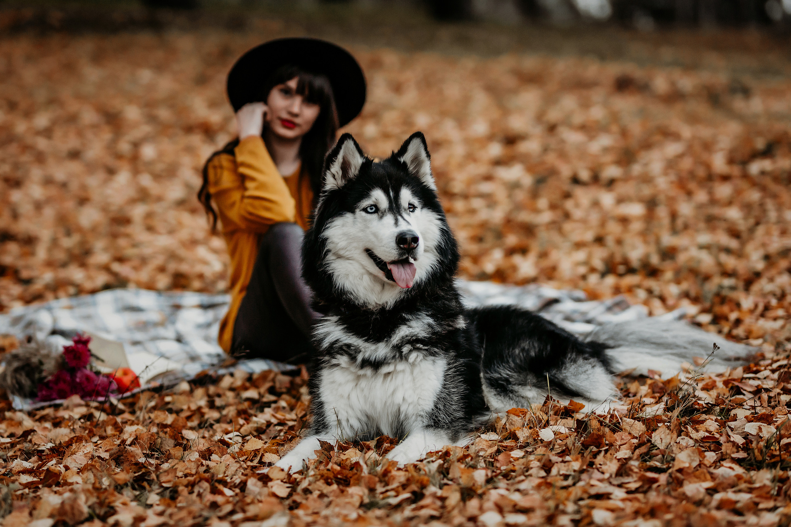 Darja un haskijs vārdā Alekss. FOTOGRĀFS| LATVIJA |DAUGAVPILS|