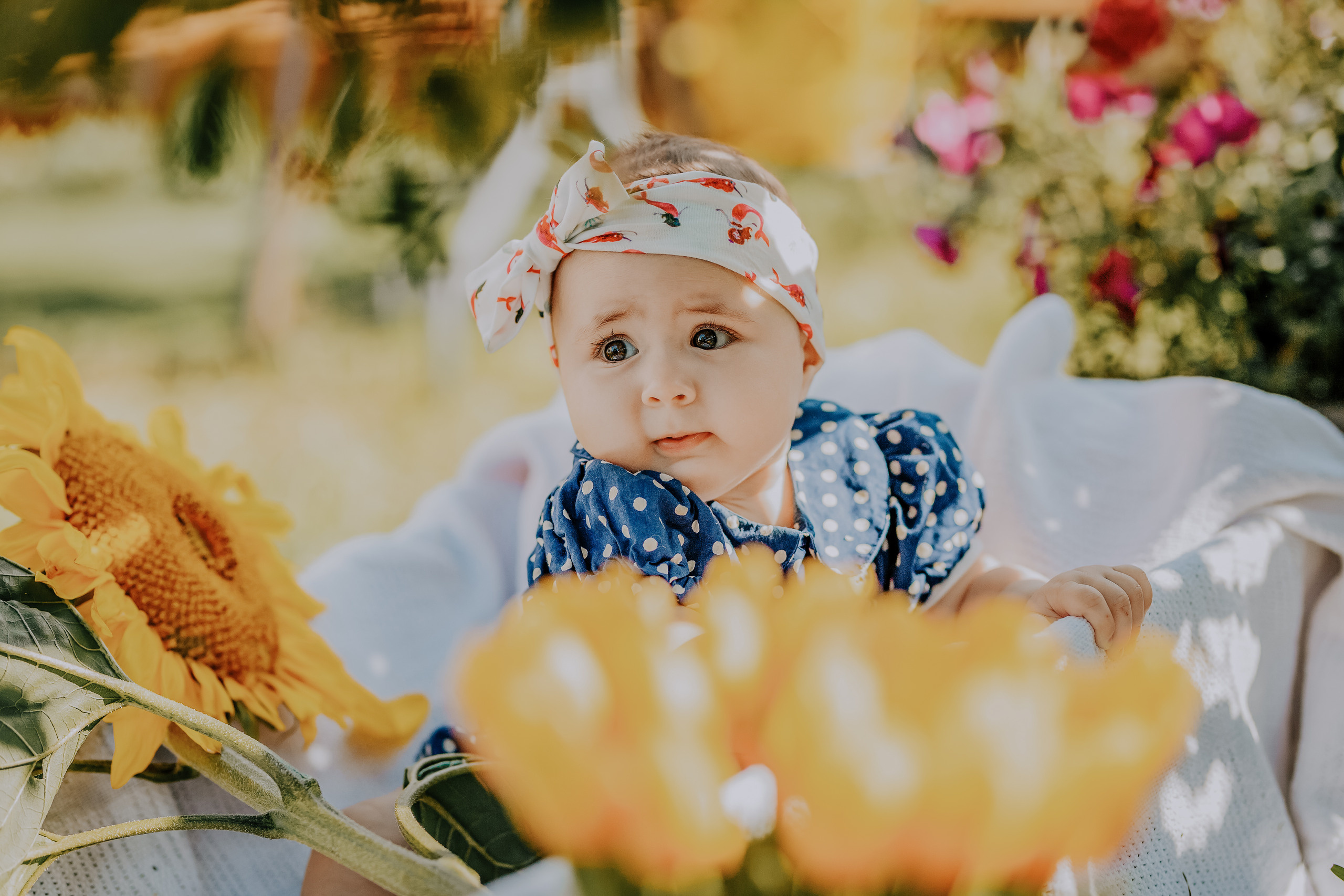 Jeva. FOTOGRĀFS| LATVIJA |DAUGAVPILS|