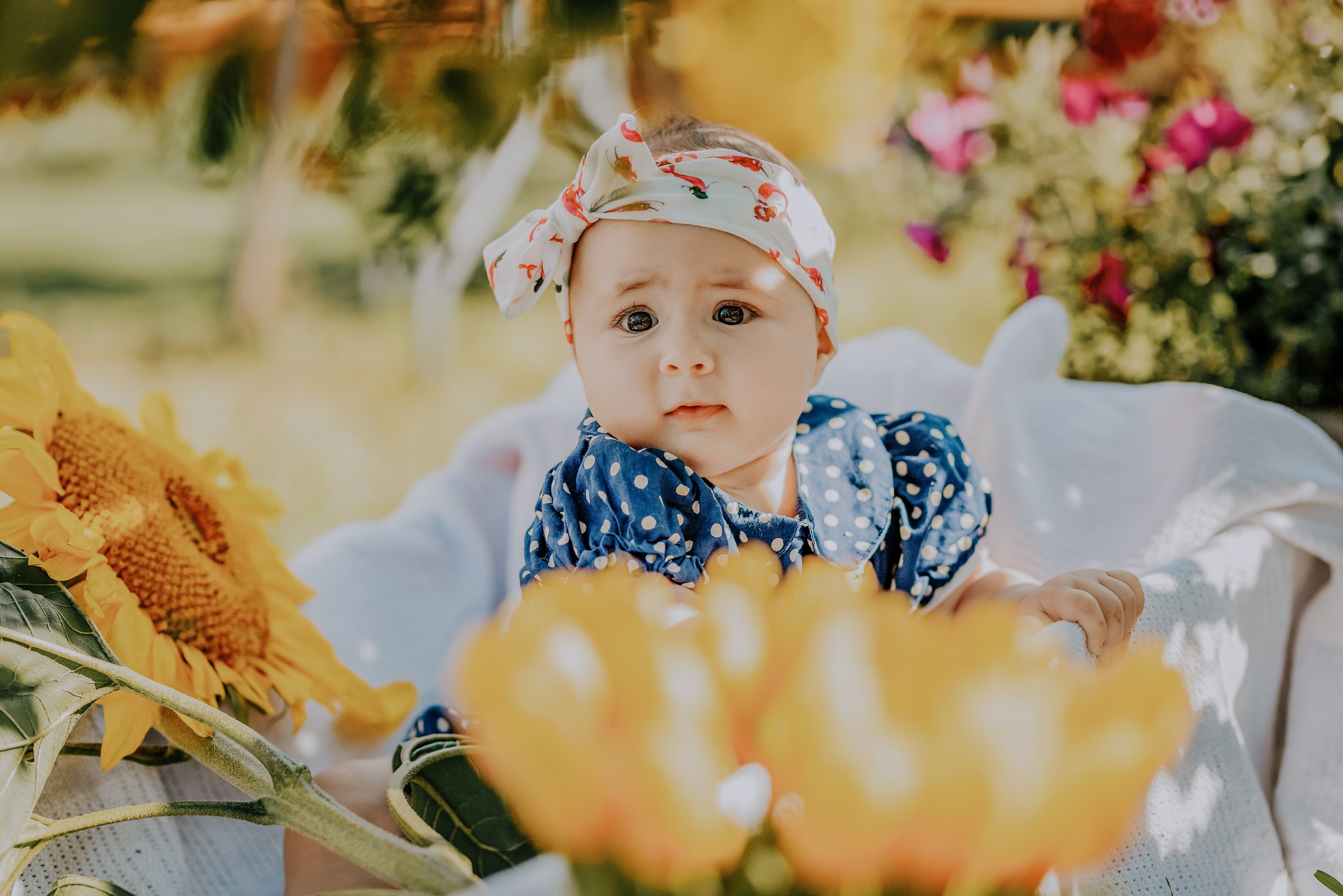 Jeva. FOTOGRĀFS| LATVIJA |DAUGAVPILS|