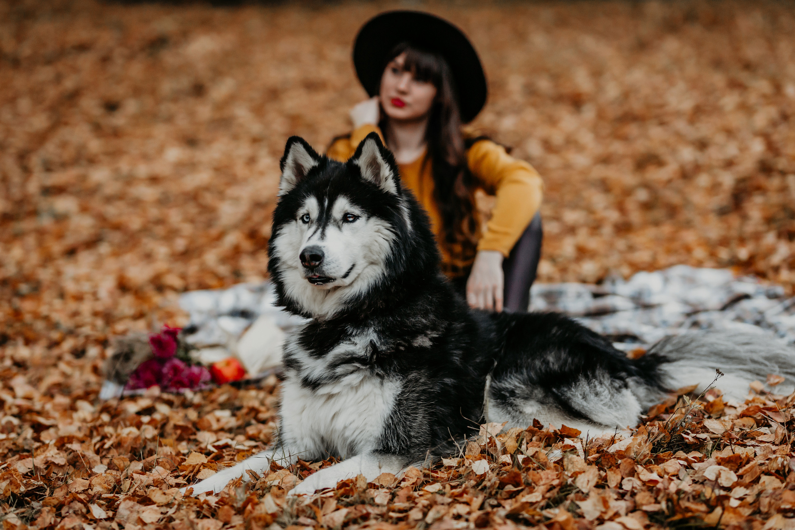 Darja un haskijs vārdā Alekss. FOTOGRĀFS| LATVIJA |DAUGAVPILS|