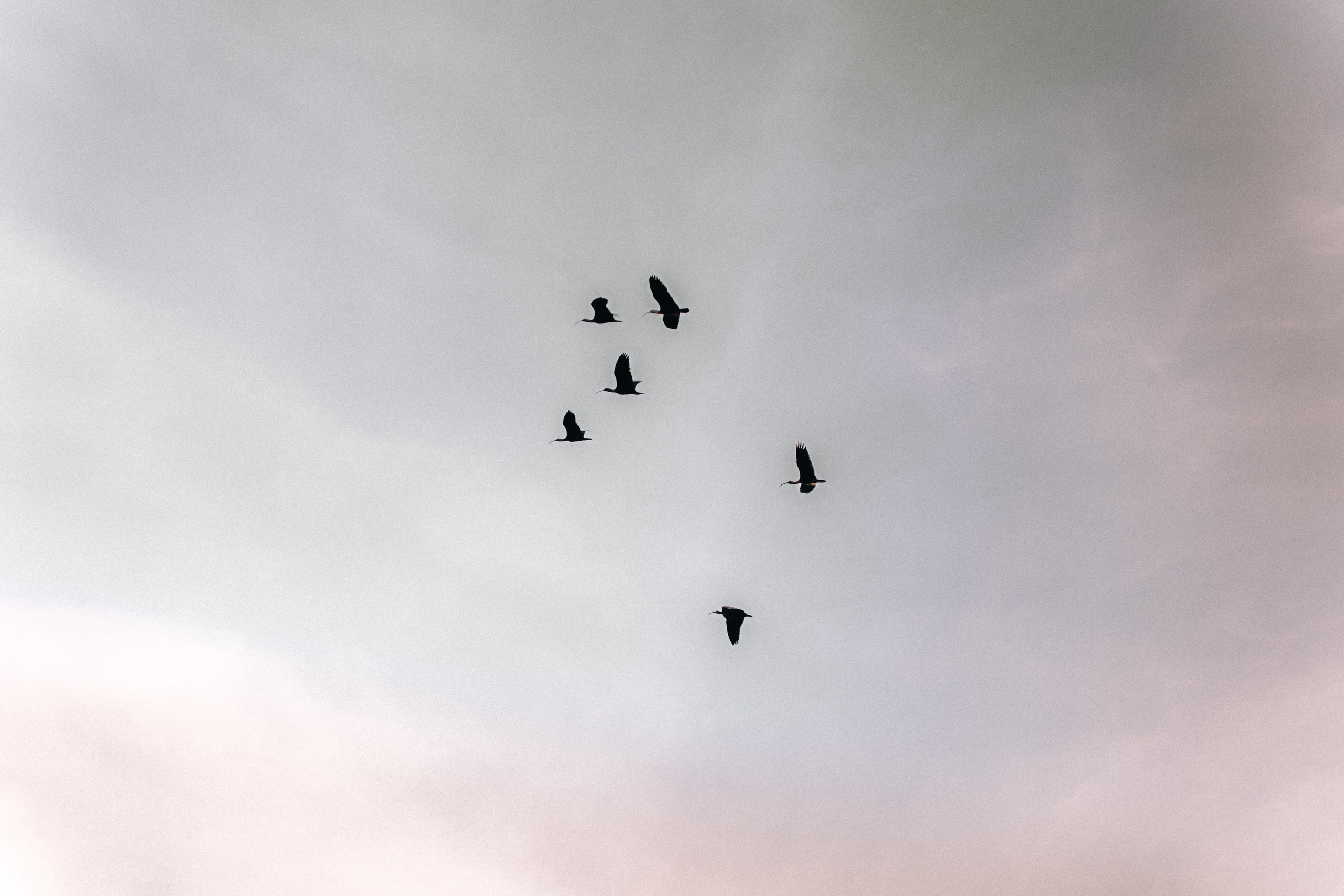 Pré Wedding. Reference Visuals