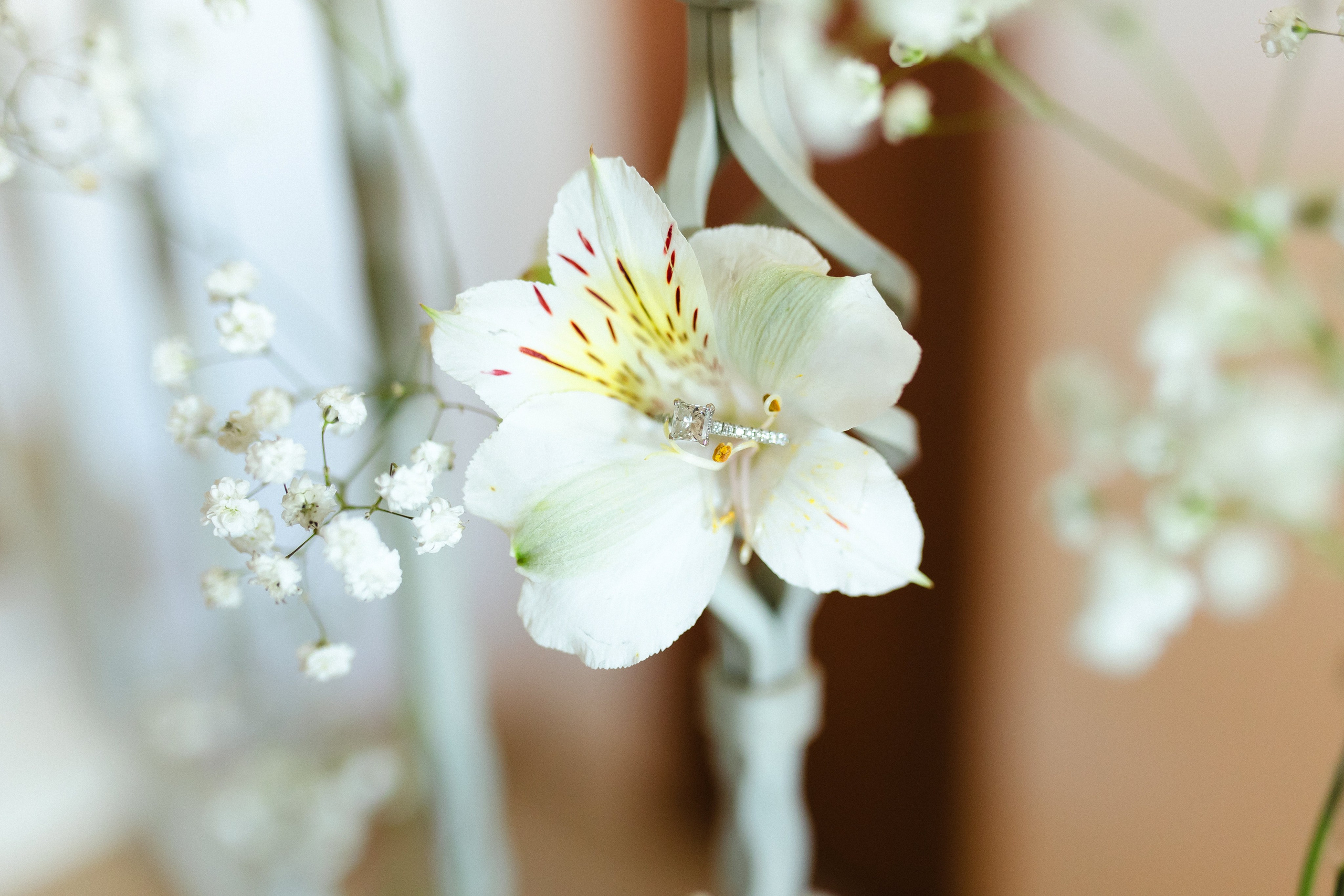 With All My Heart. Https://shi-photo.com/