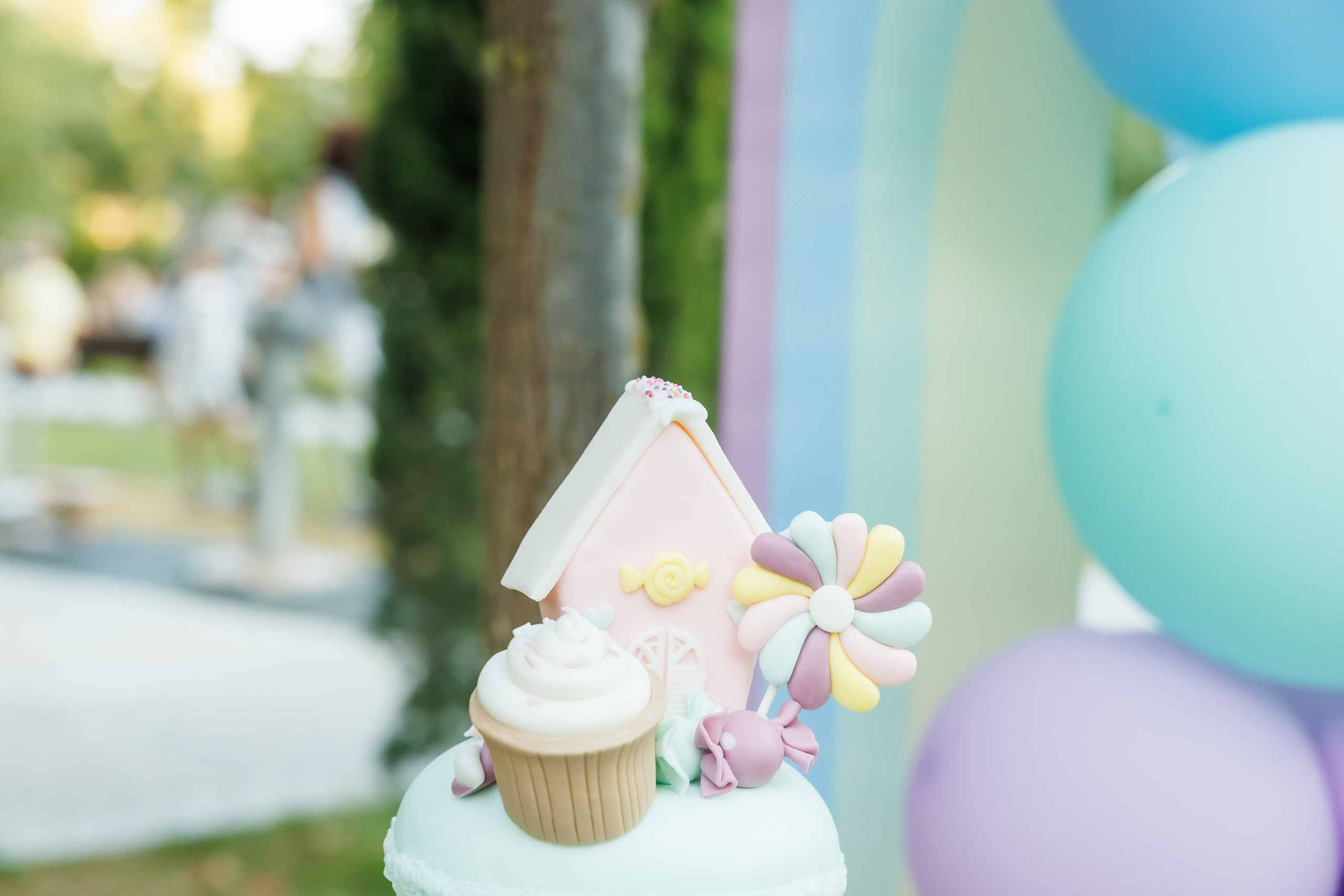 Честит Рожден Ден. Фотограф Ирина Йотова