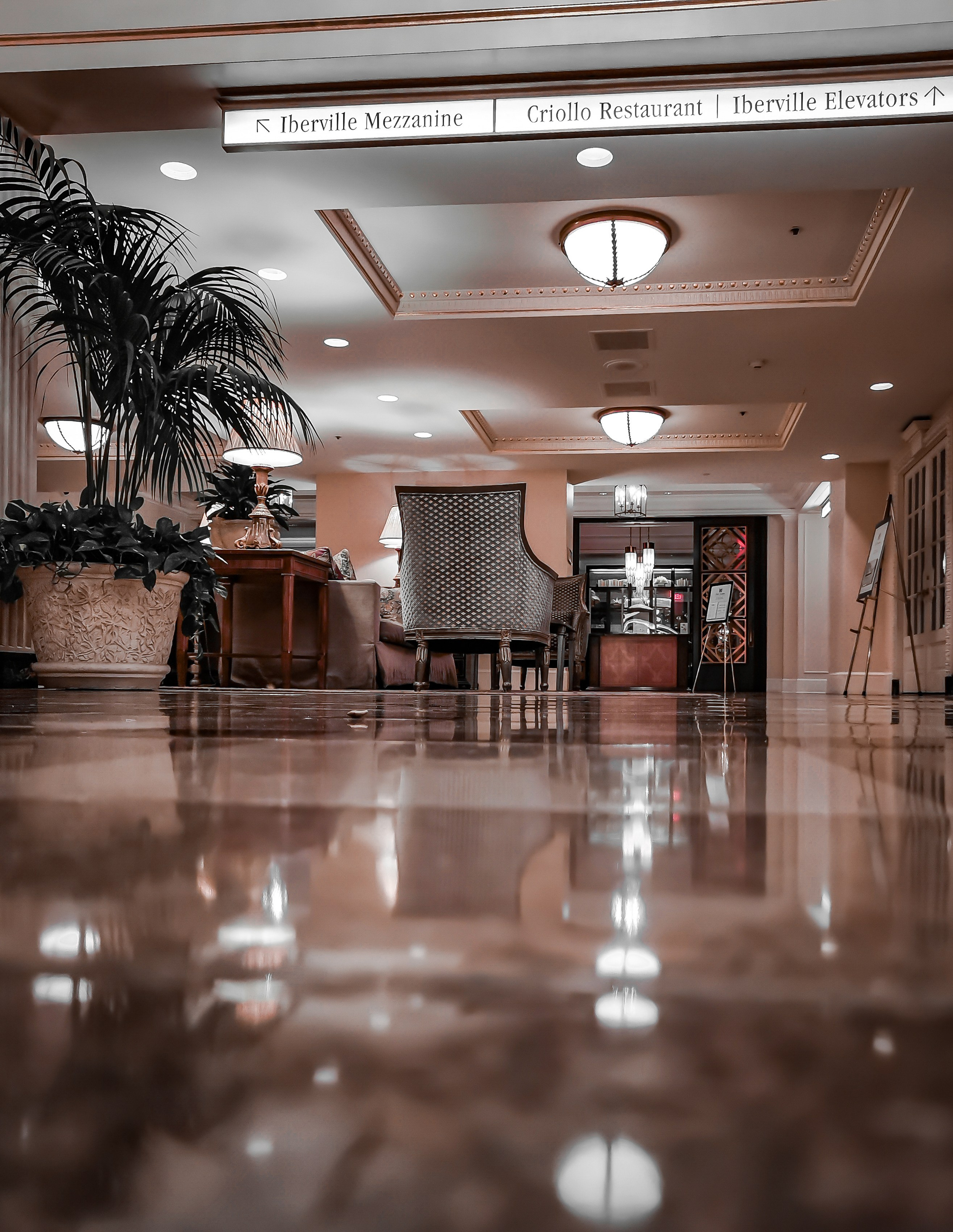 Photo walk in New Orleans Louisiana. Victoria Fedoseenko. Photographer from Serbia