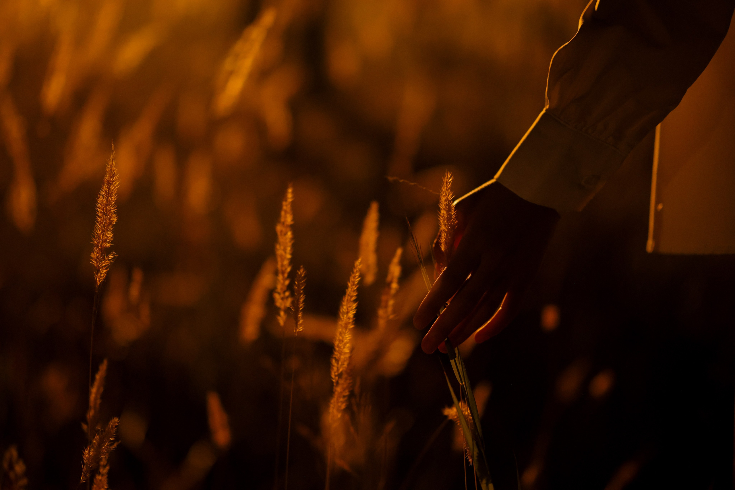 ISSIK KYL. Mandarin.photo