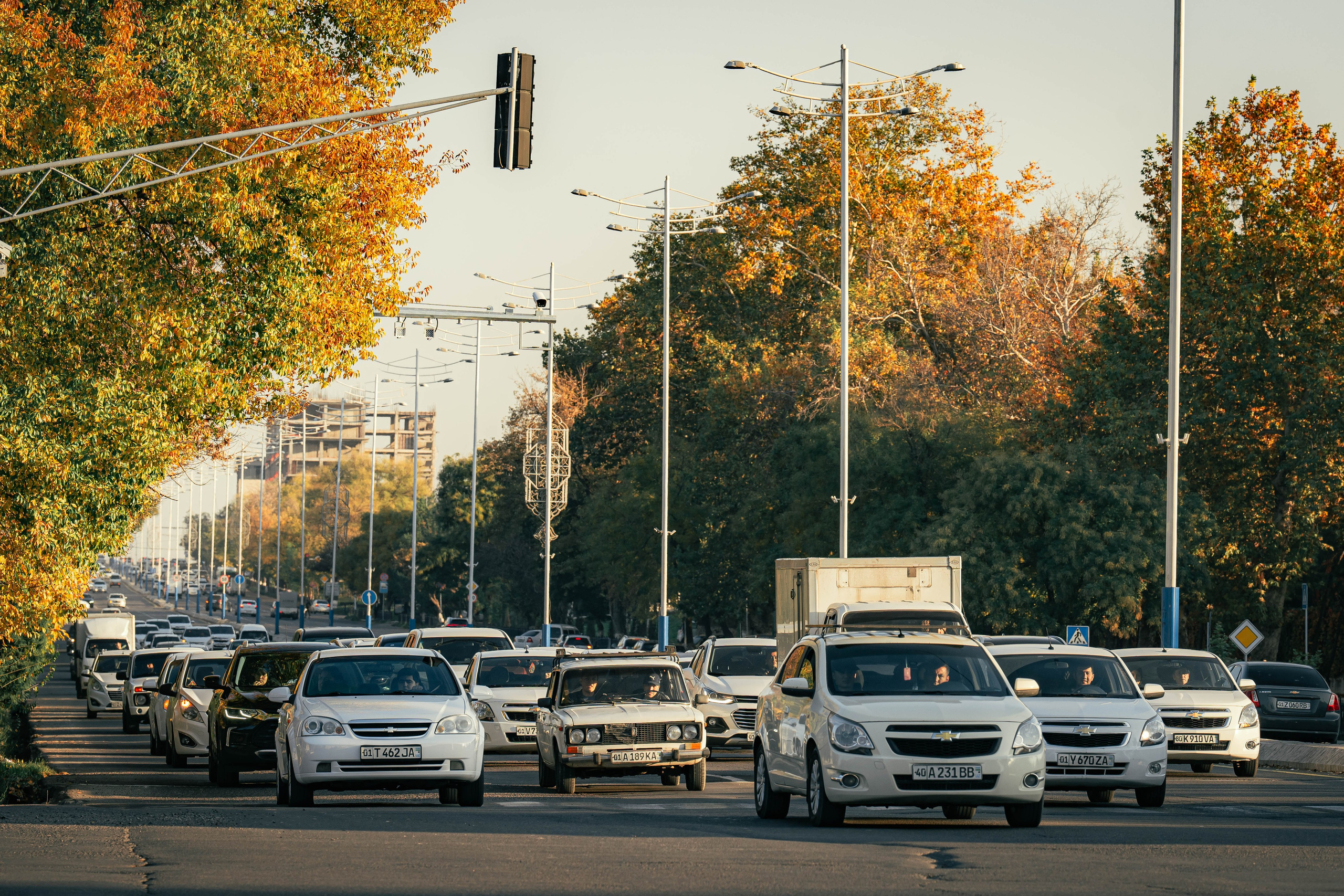 Ташкентская осень. Георгий Намазов | Фотограф в Ташкенте