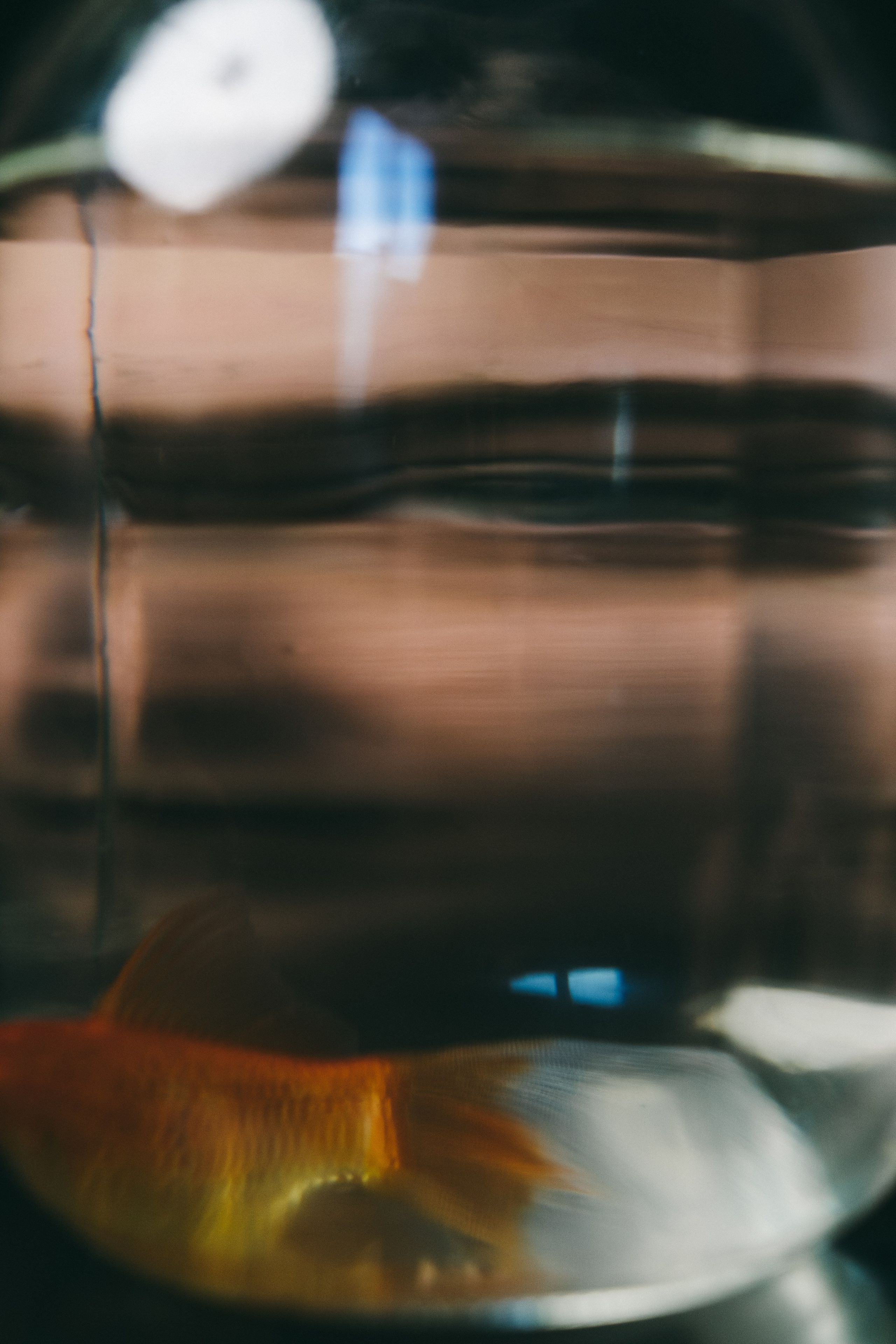 Maria and Her Fish. Stanislava Novgorodtseva — Photographer | Visual Artist | Educator