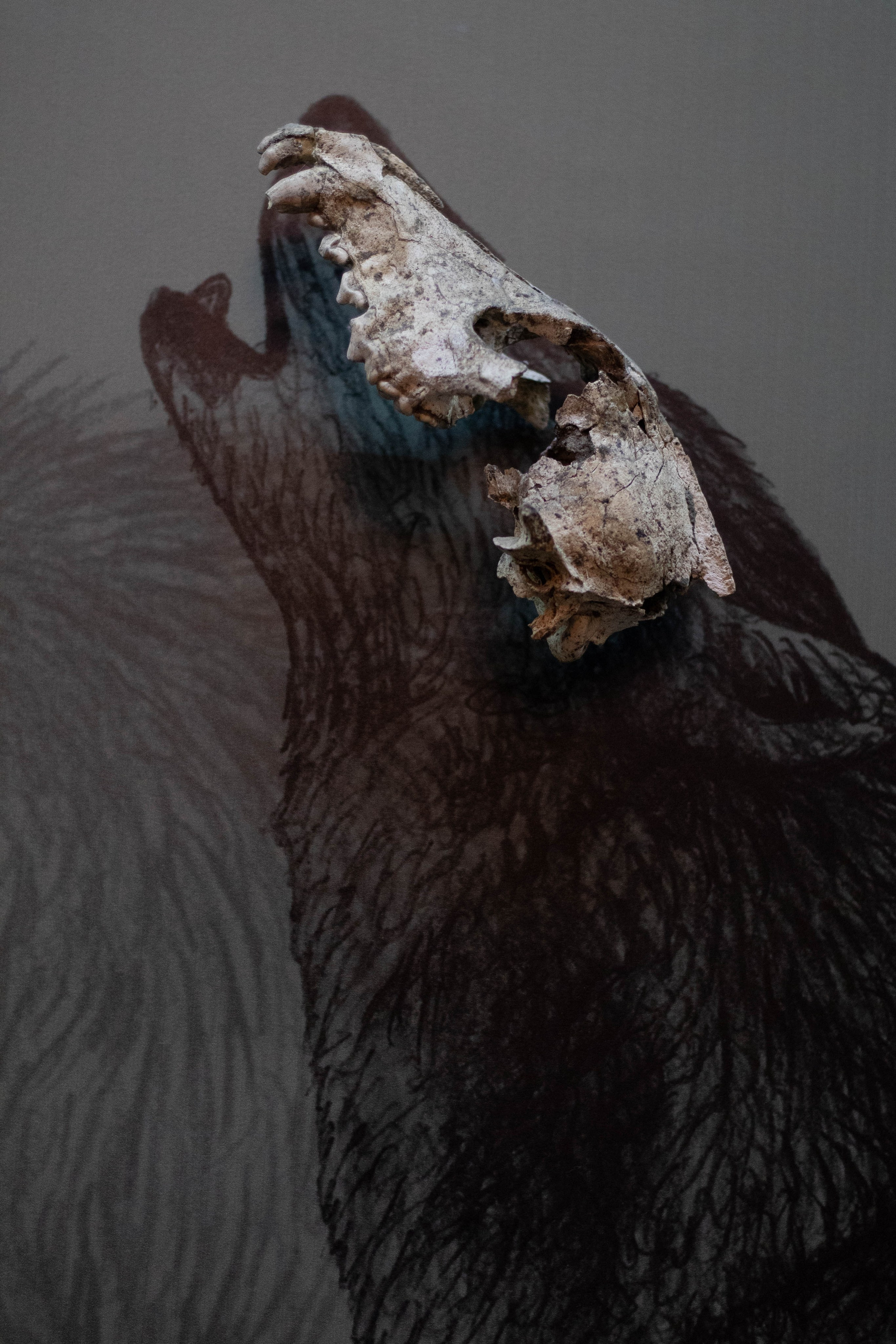 Lana-Maria Megrelishvili - Primitive Man. Stanislava Novgorodtseva — Photographer | Visual Artist | Educator