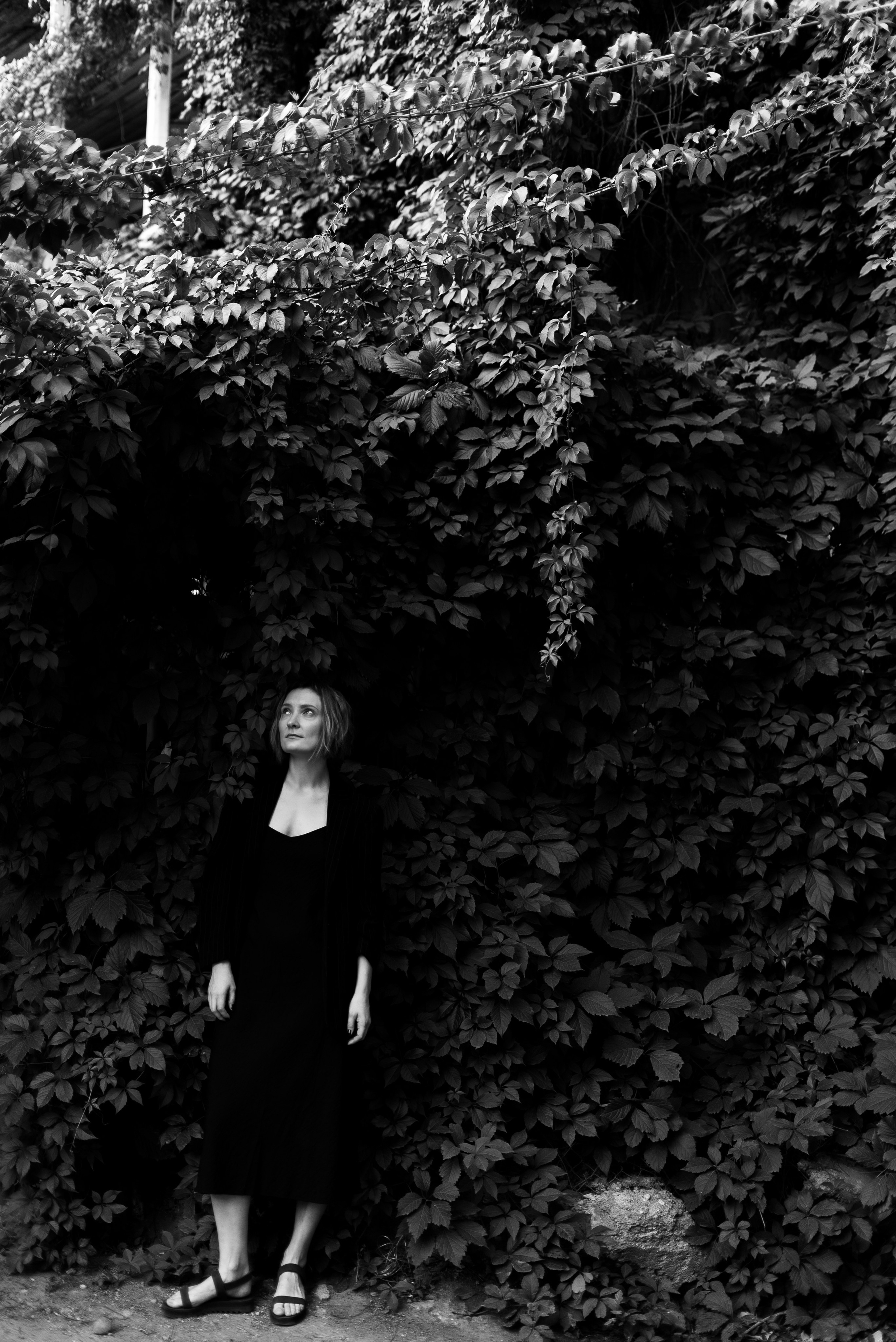 Прогулочные съёмки