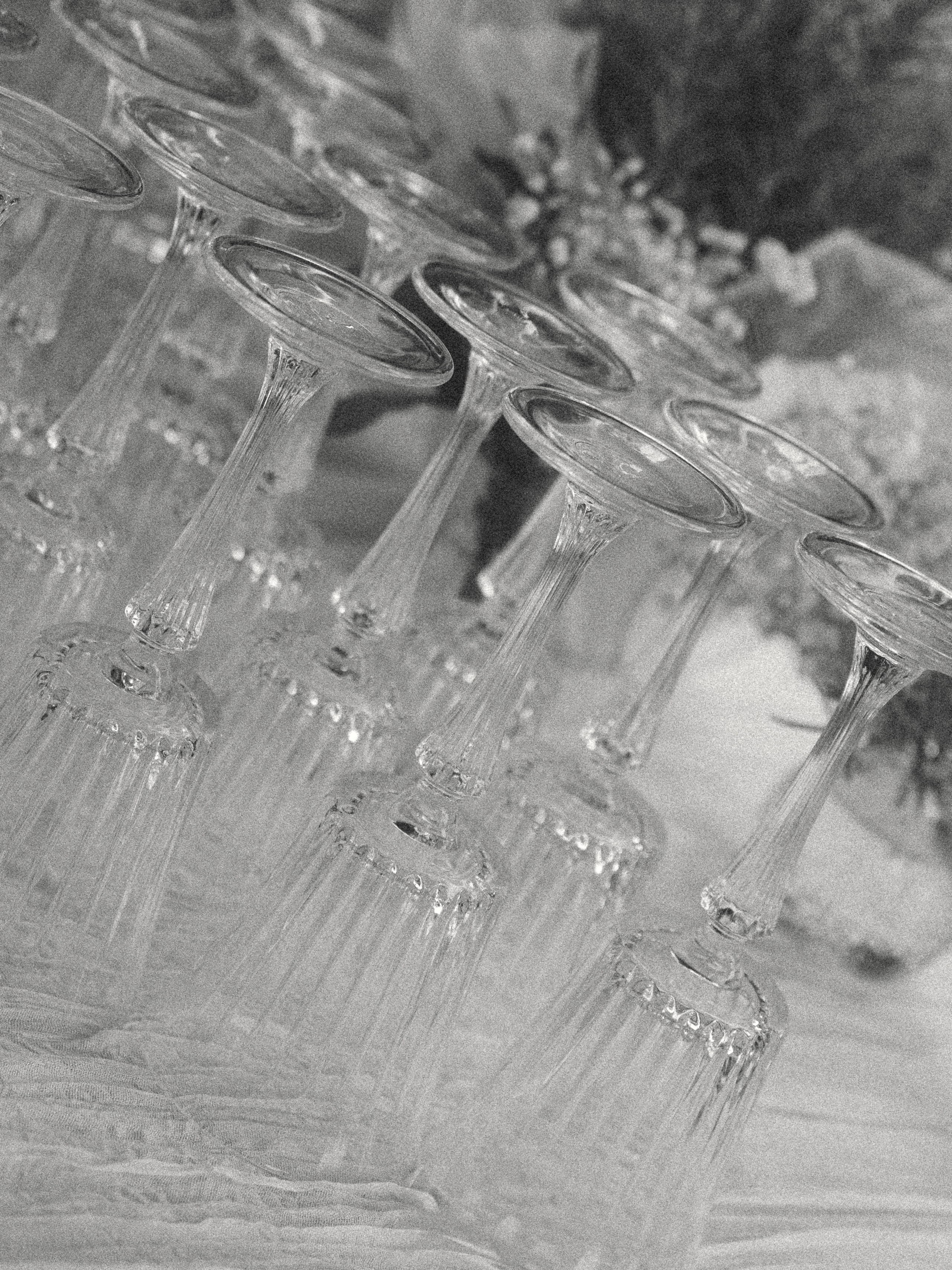 Wedding, elopement and family photographer in Bologna Martina Barbieri