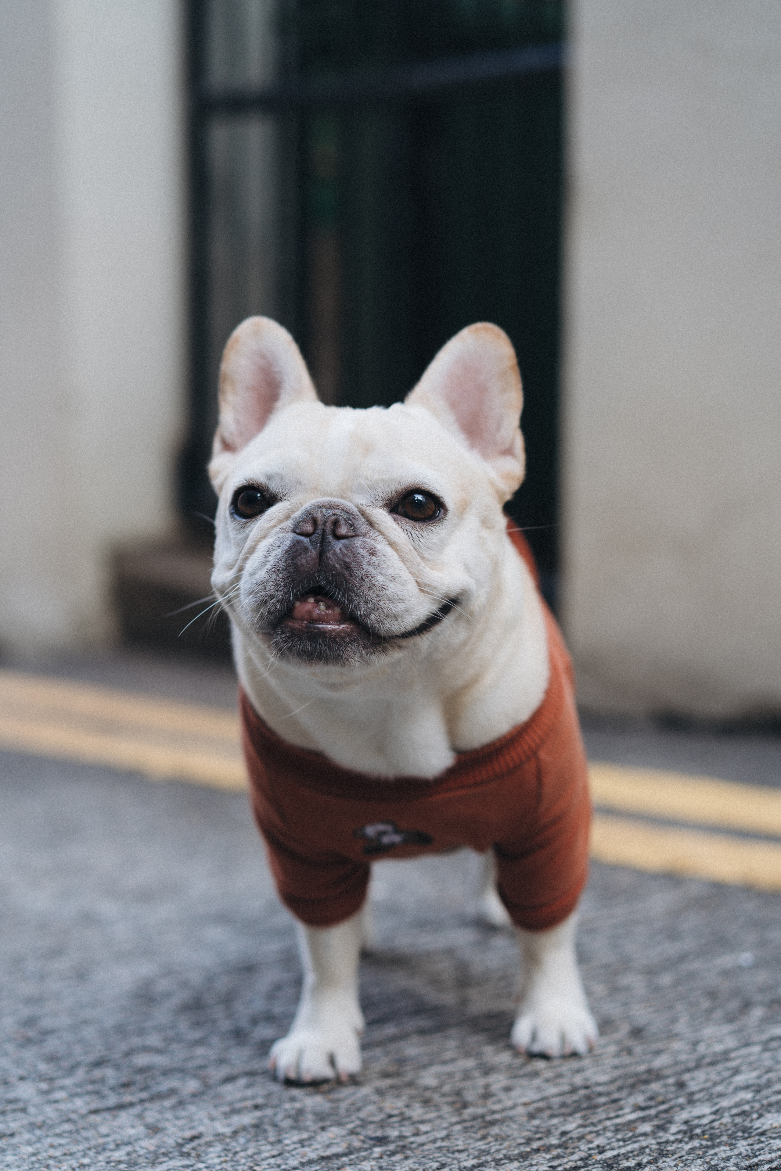 Tai Ping Shan. Evgeniia Pavlova Photography