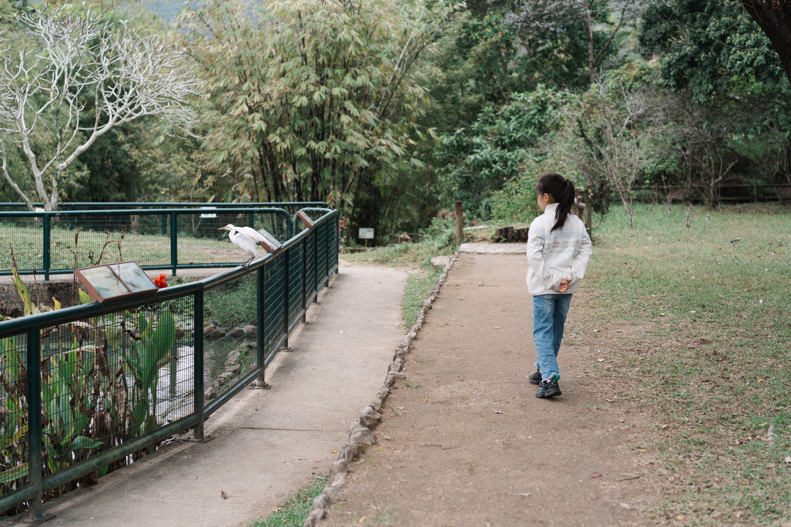 Grandparents visiting in Sai Kung. Evgeniia Pavlova Photography