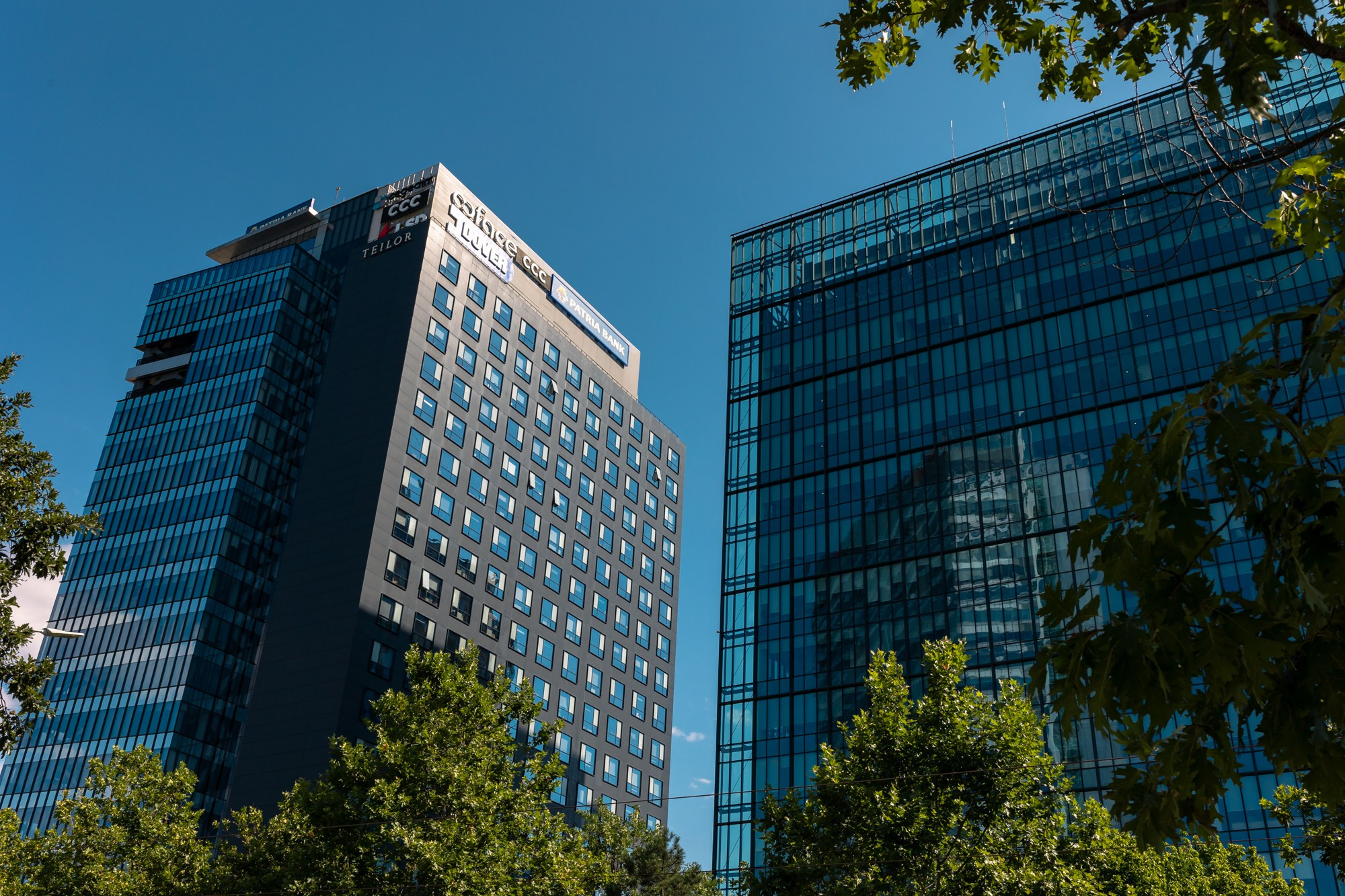 The Grid. A Creative Insight | Catalin Nastase