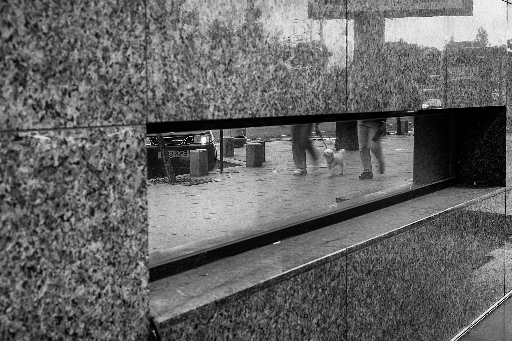 Monochrome. A Creative Insight | Catalin Nastase