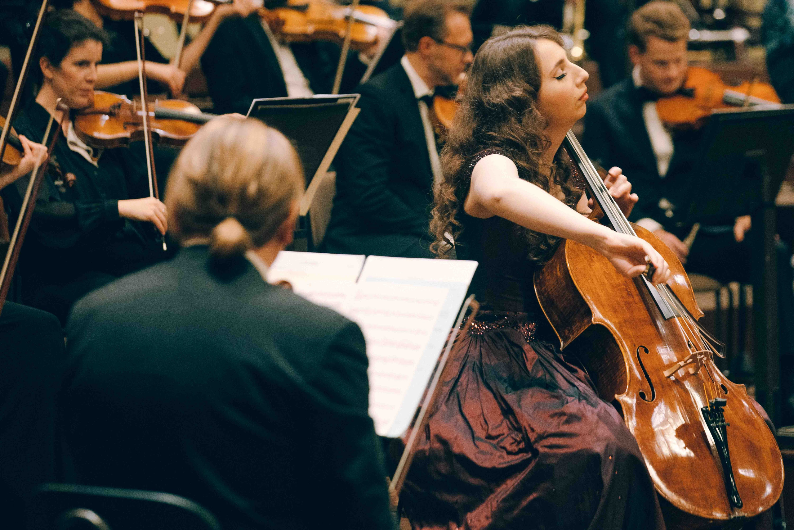 MUSIKVEREIN (VIENNA). Wedding&Event photographer Ismail Rzayev in Baku