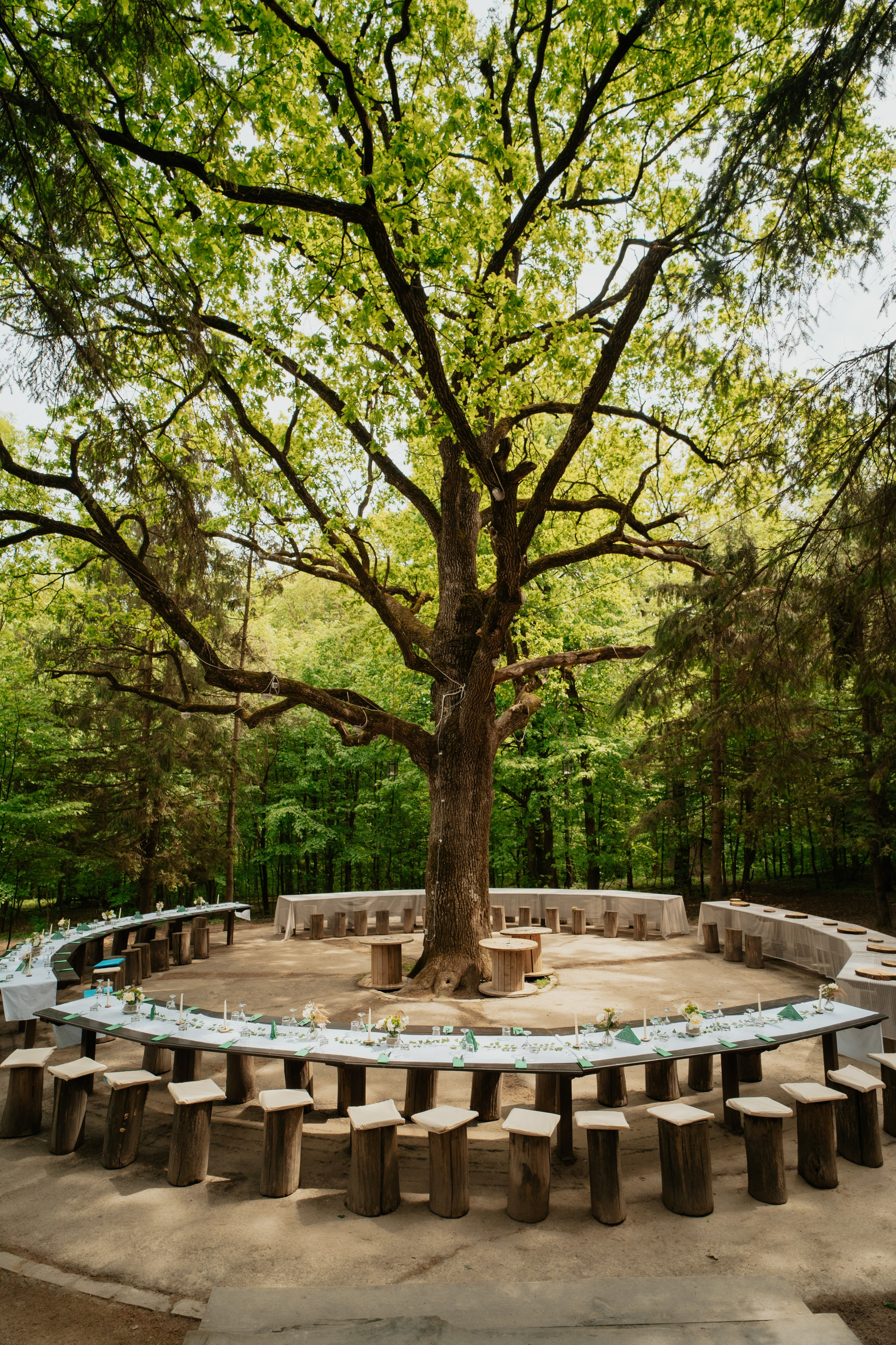Teodor’s Baptism. Fotograf Nunta Iasi - Hearts & Pictures