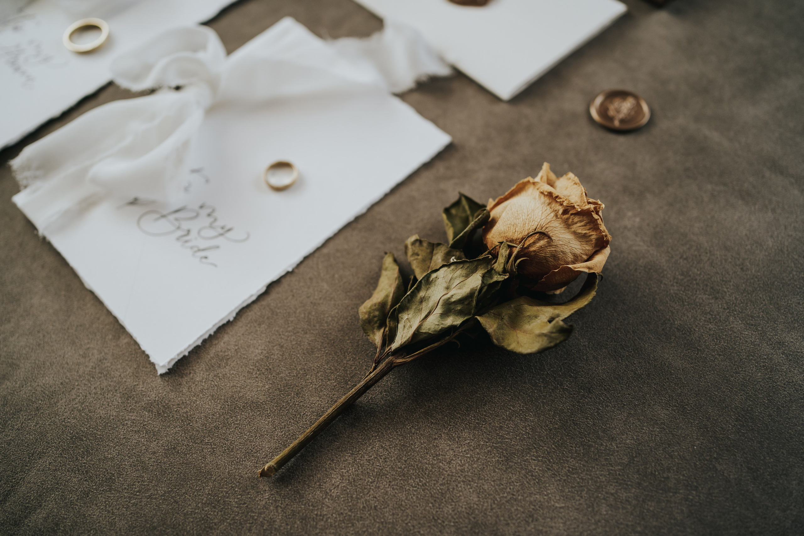 T & I. Fotograf Nunta Iasi - Hearts & Pictures