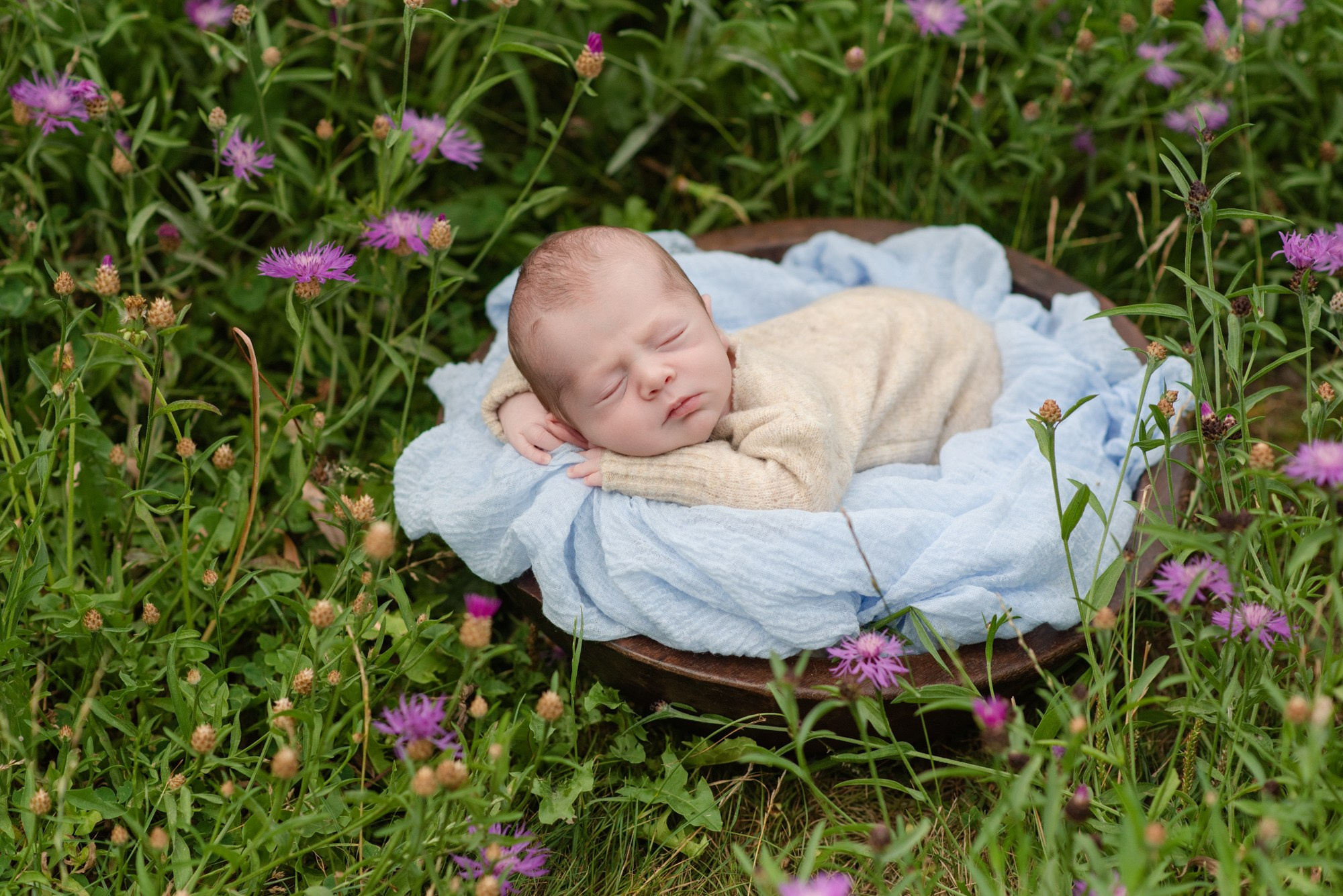 Photographe bébé Nord France