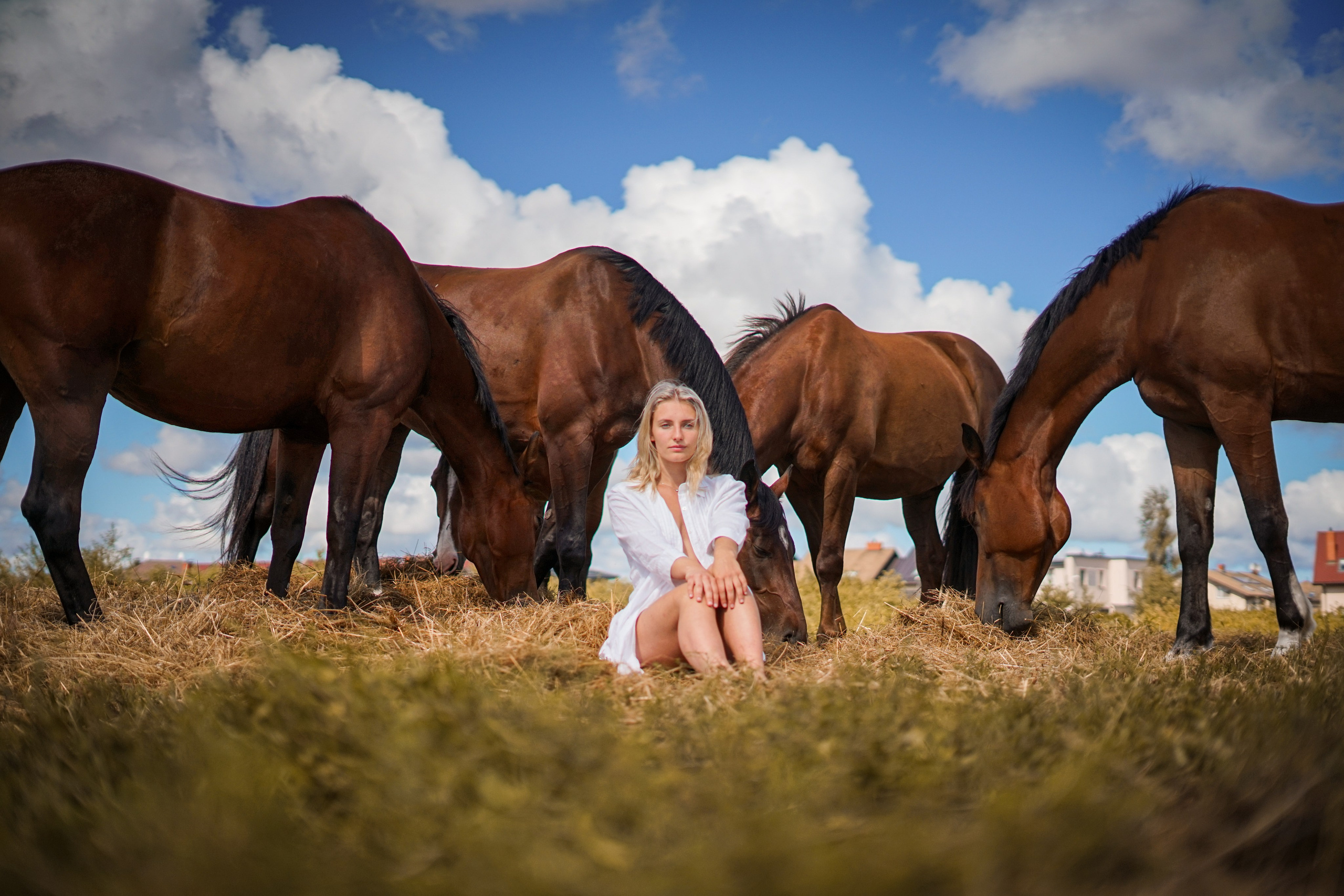 Horses and Harmony Ft.Paula. Potrait Photography Arjunovision