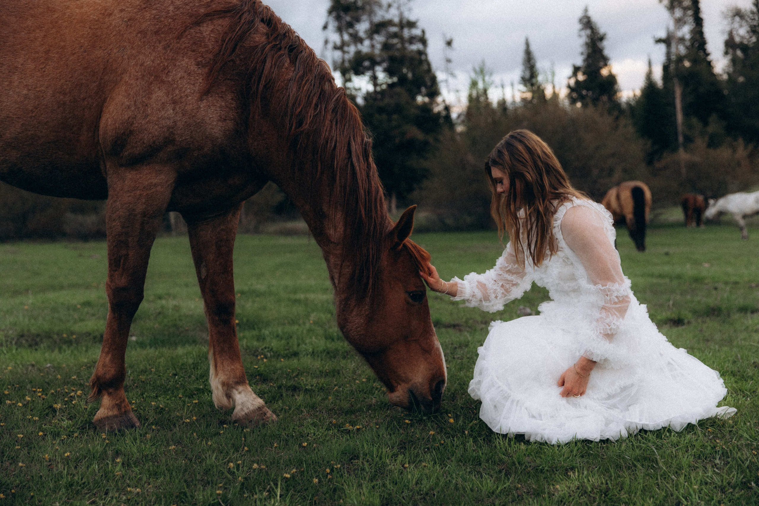 Siena & Aaron | Elopement in Wyoming