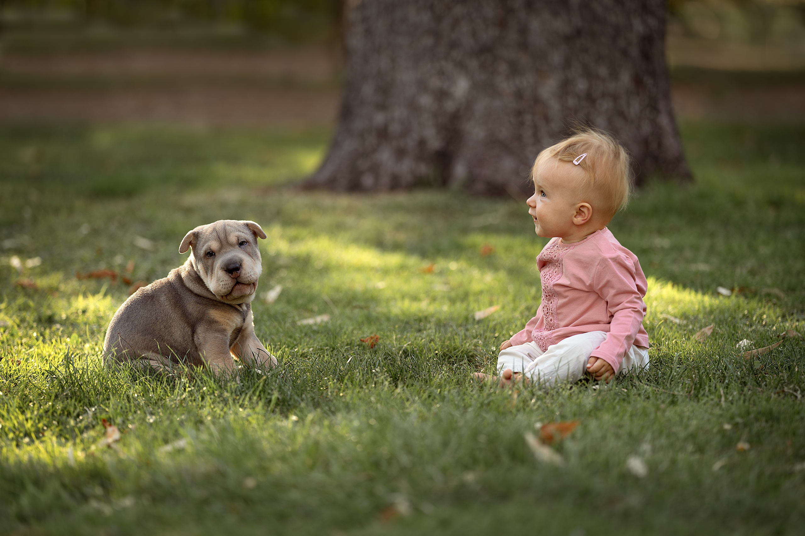 ПОРТФОЛИО. Семейный и детский фотограф в Испании, Мадриде. Елена Лукичева