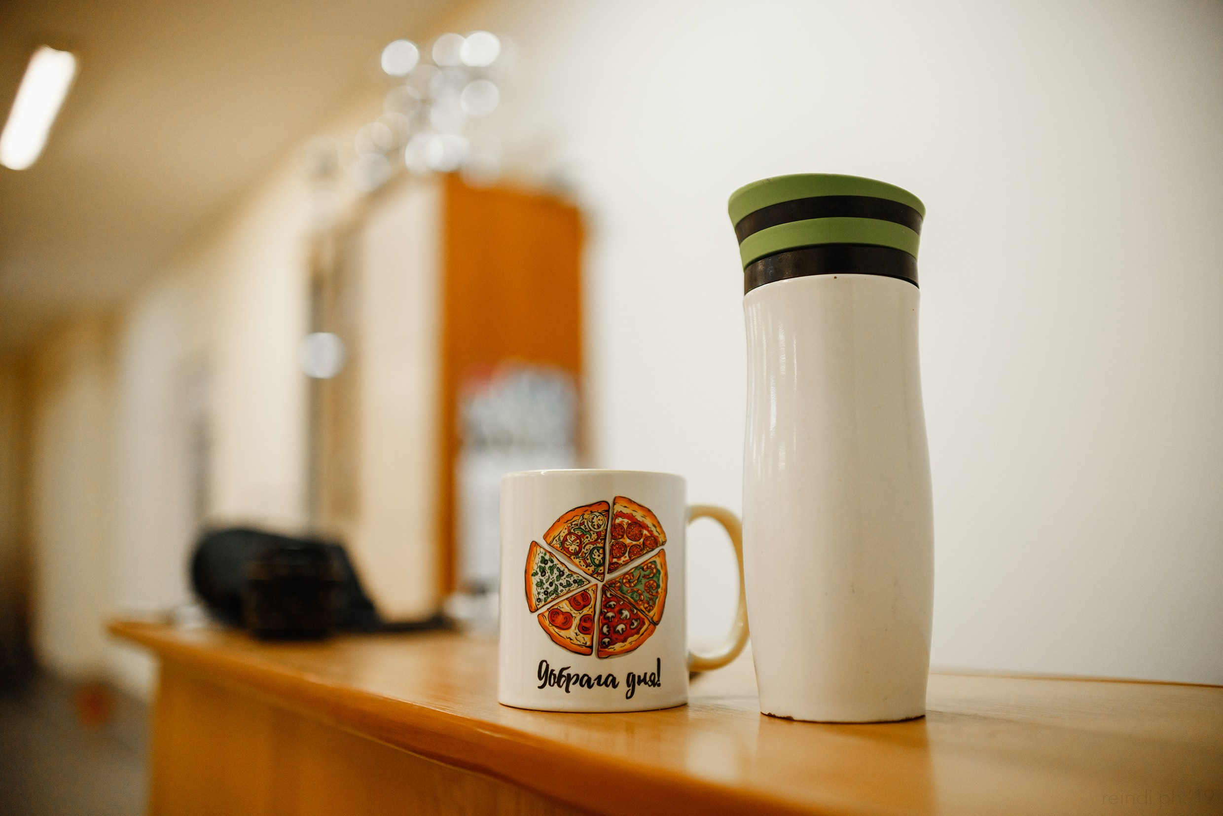 Dog handling hall. Kaja | fotograf we Wrocławiu | ludzie i psy