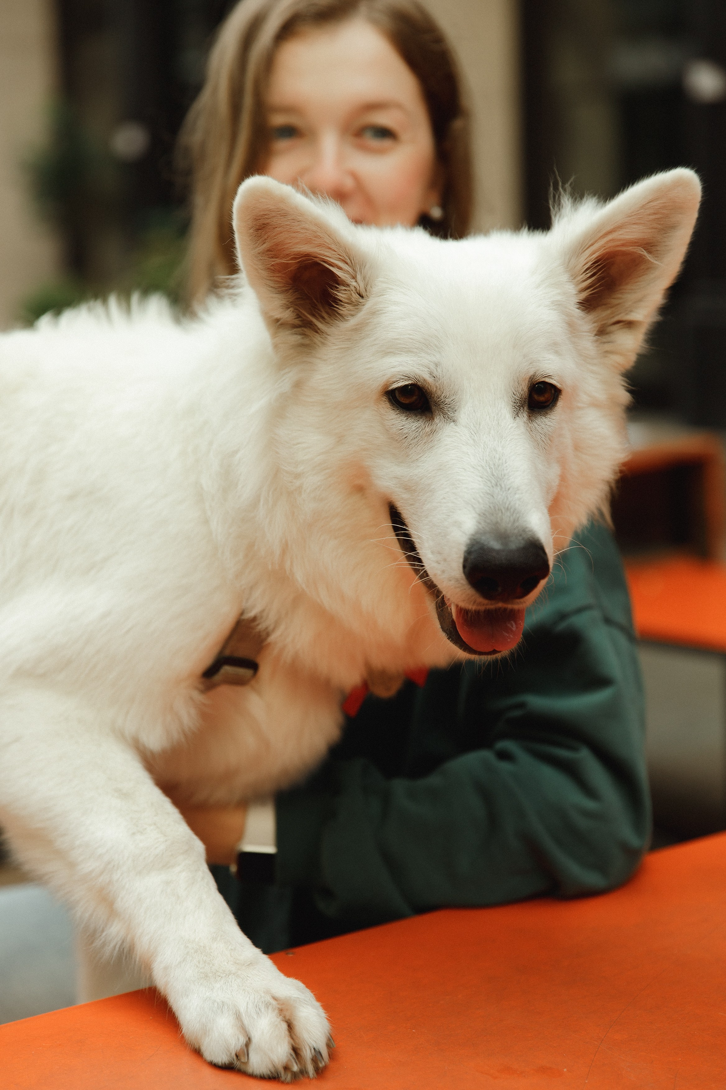 Astra in Leipzig. Kaja | fotograf we Wrocławiu | ludzie i psy