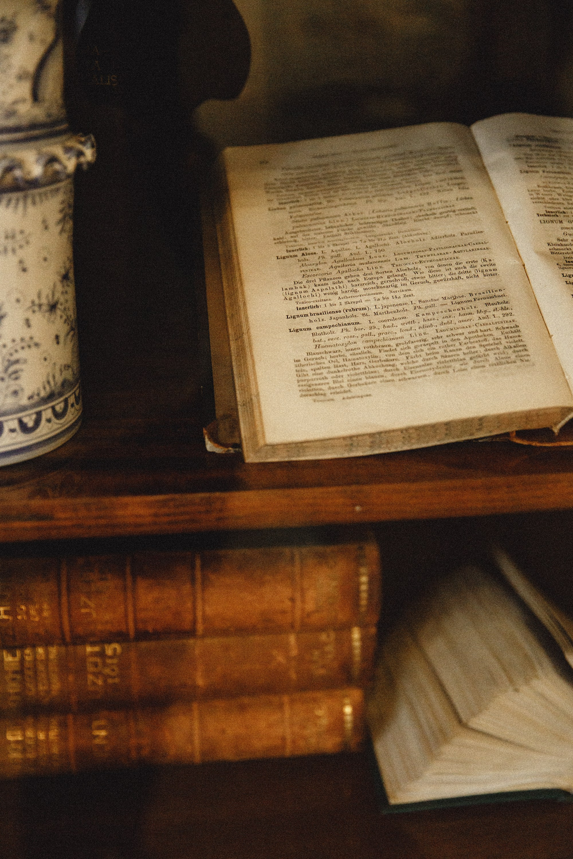 Museum of farmacy in Wroclaw. Kaja | fotograf we Wrocławiu | ludzie i psy