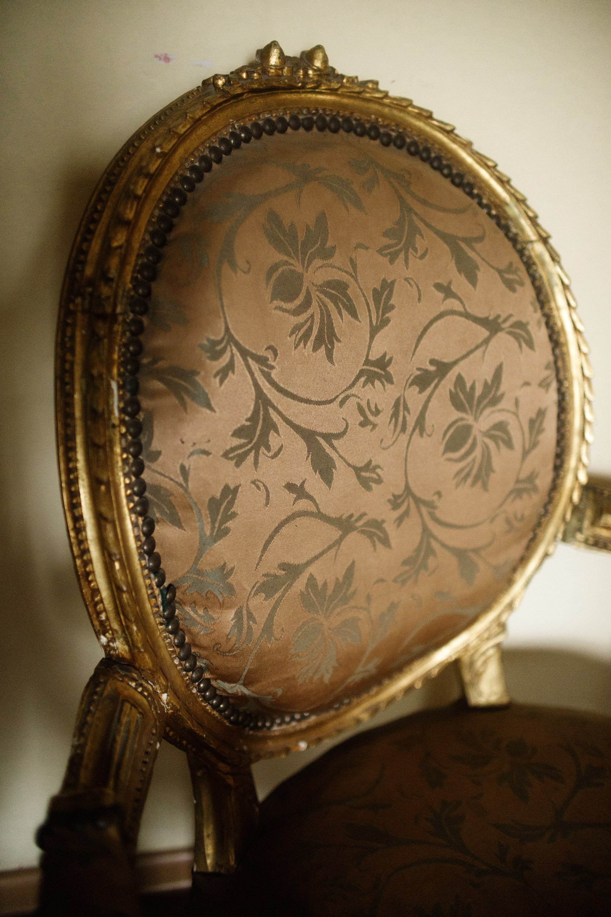 Zamek Grodziec. Kaja | fotograf psów we Wrocławiu