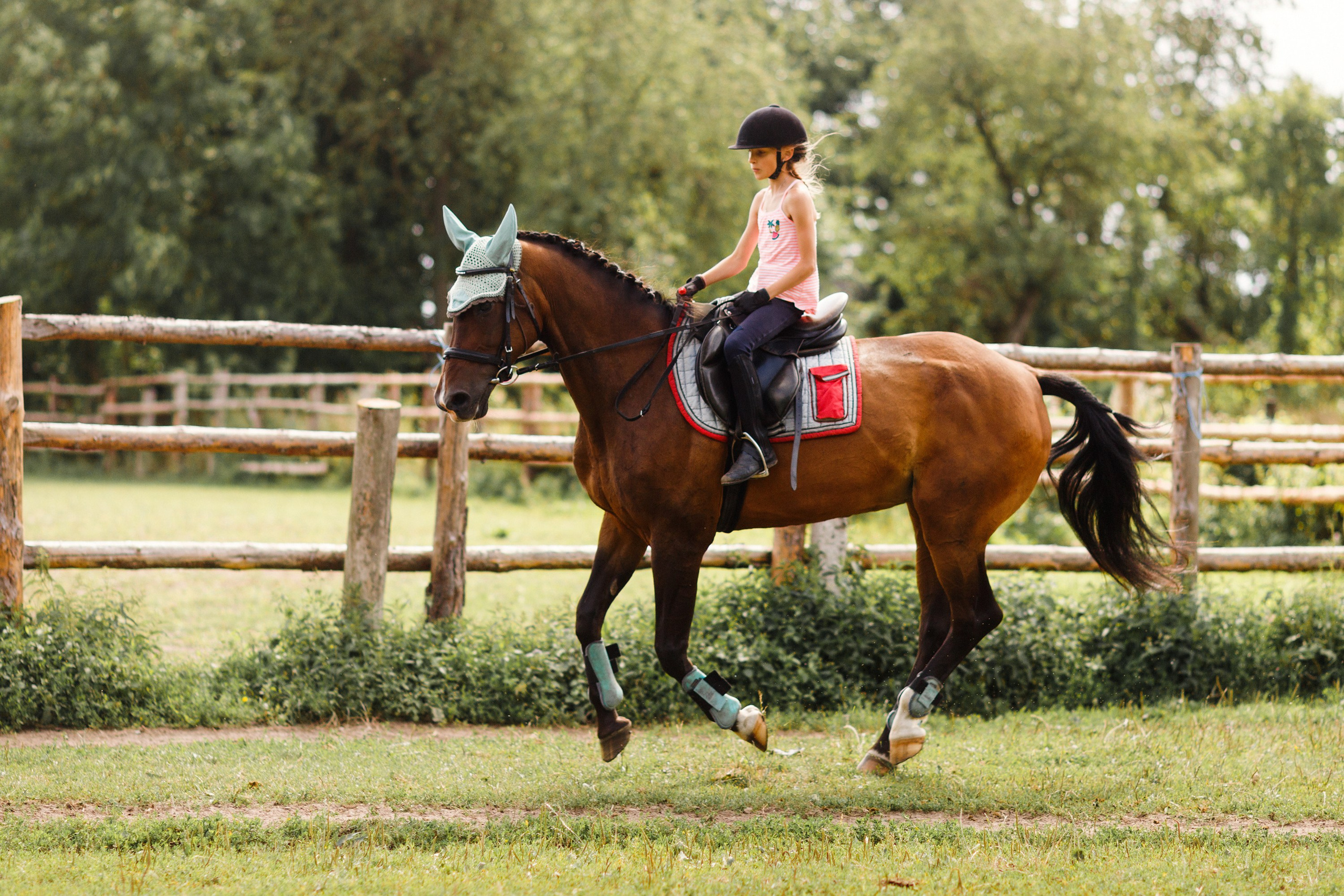 Girls & horses, summer. Kaja | fotograf psów we Wrocławiu