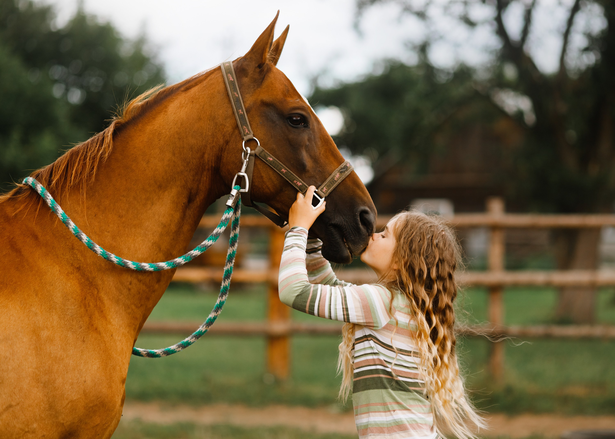 Girls & horses, summer. Kaja | fotograf psów we Wrocławiu
