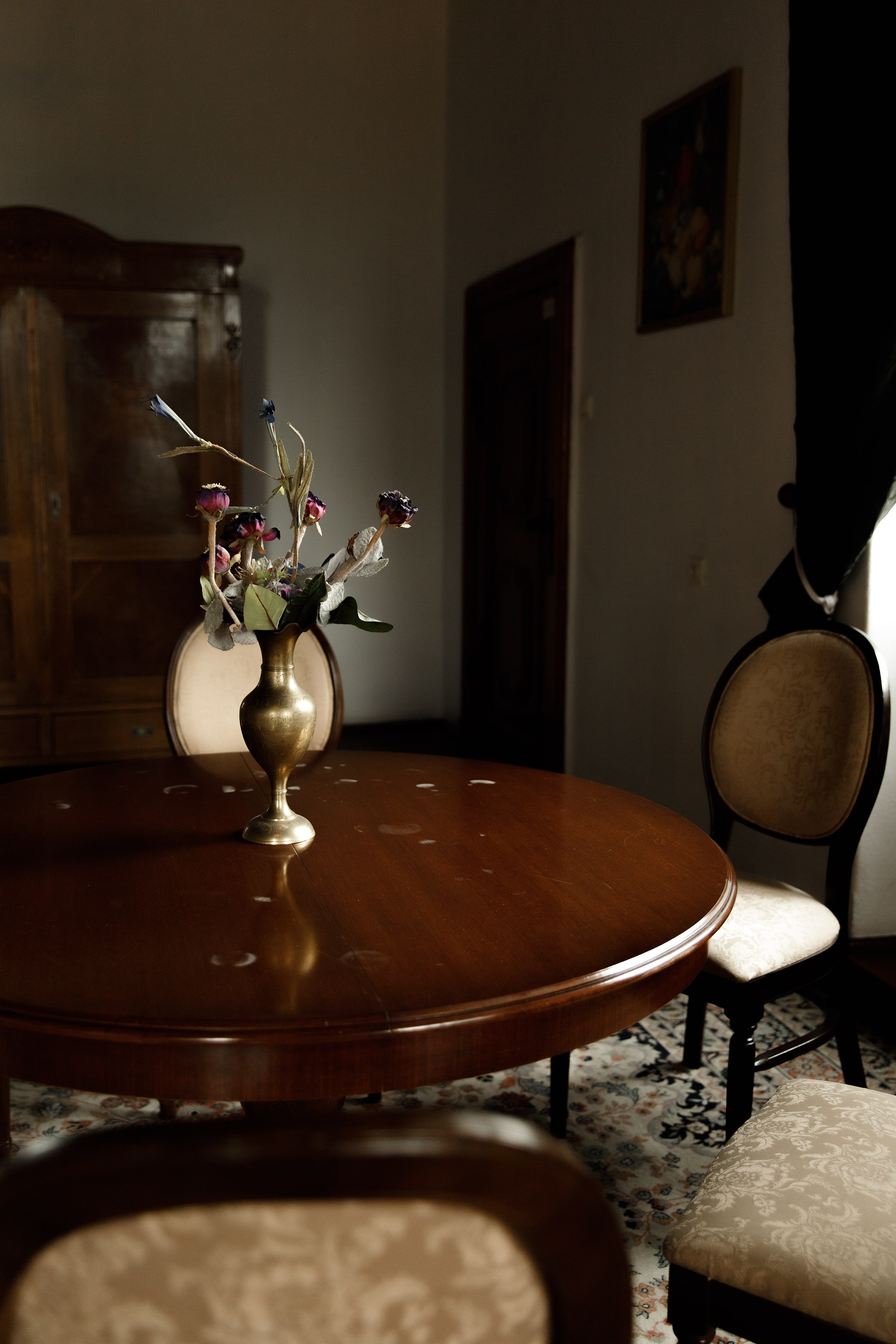 Oleśnica castle. Kaja | fotograf psów we Wrocławiu