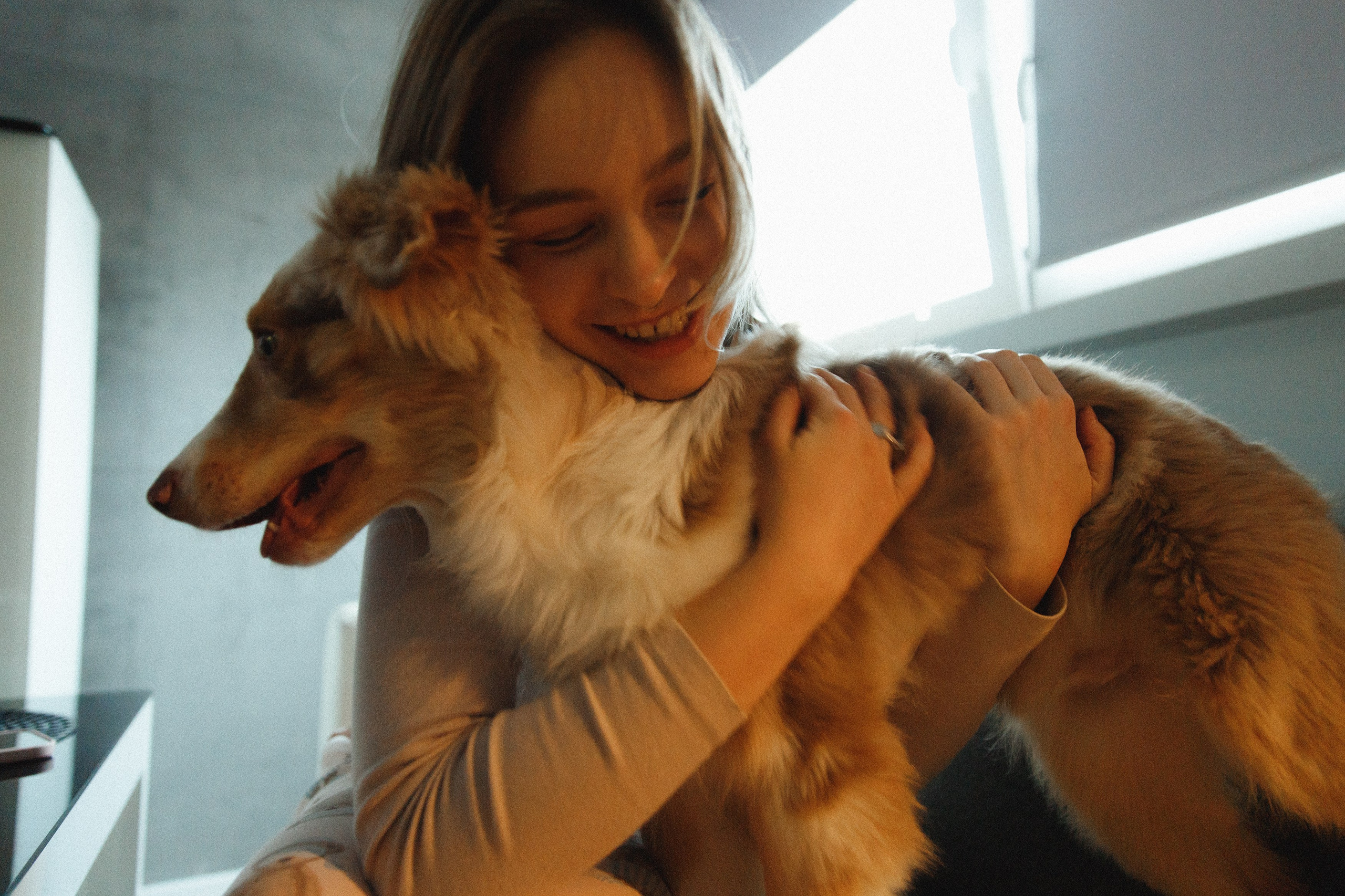 Fotografia psów Wrocław. Kaja | fotograf we Wrocławiu | ludzie i psy